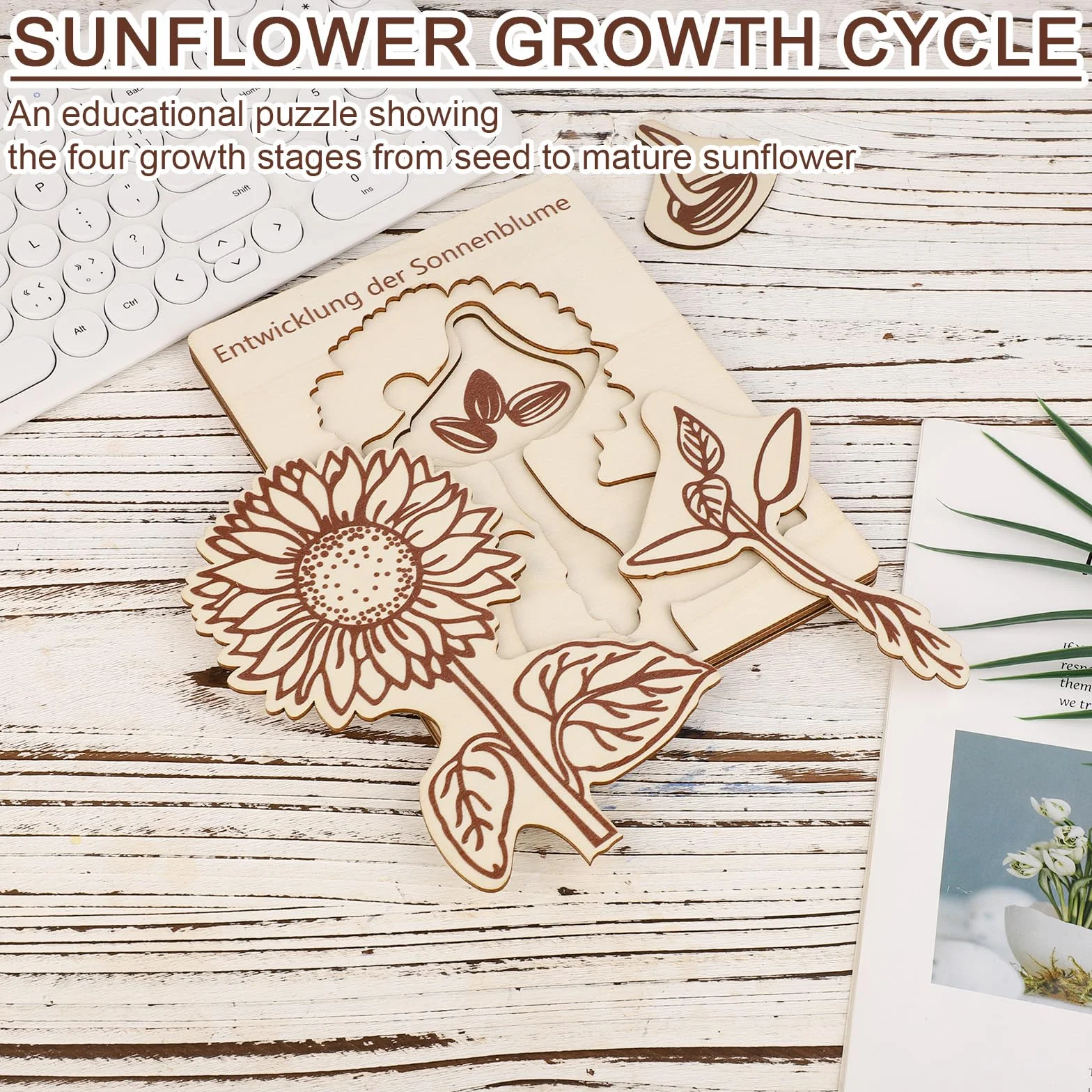 Puzzle du Cycle Vie Tournesol pour Enfants, Jouets Éducatifs en Bois, Apprentissage du Cycle Vie, 3-8 Ans