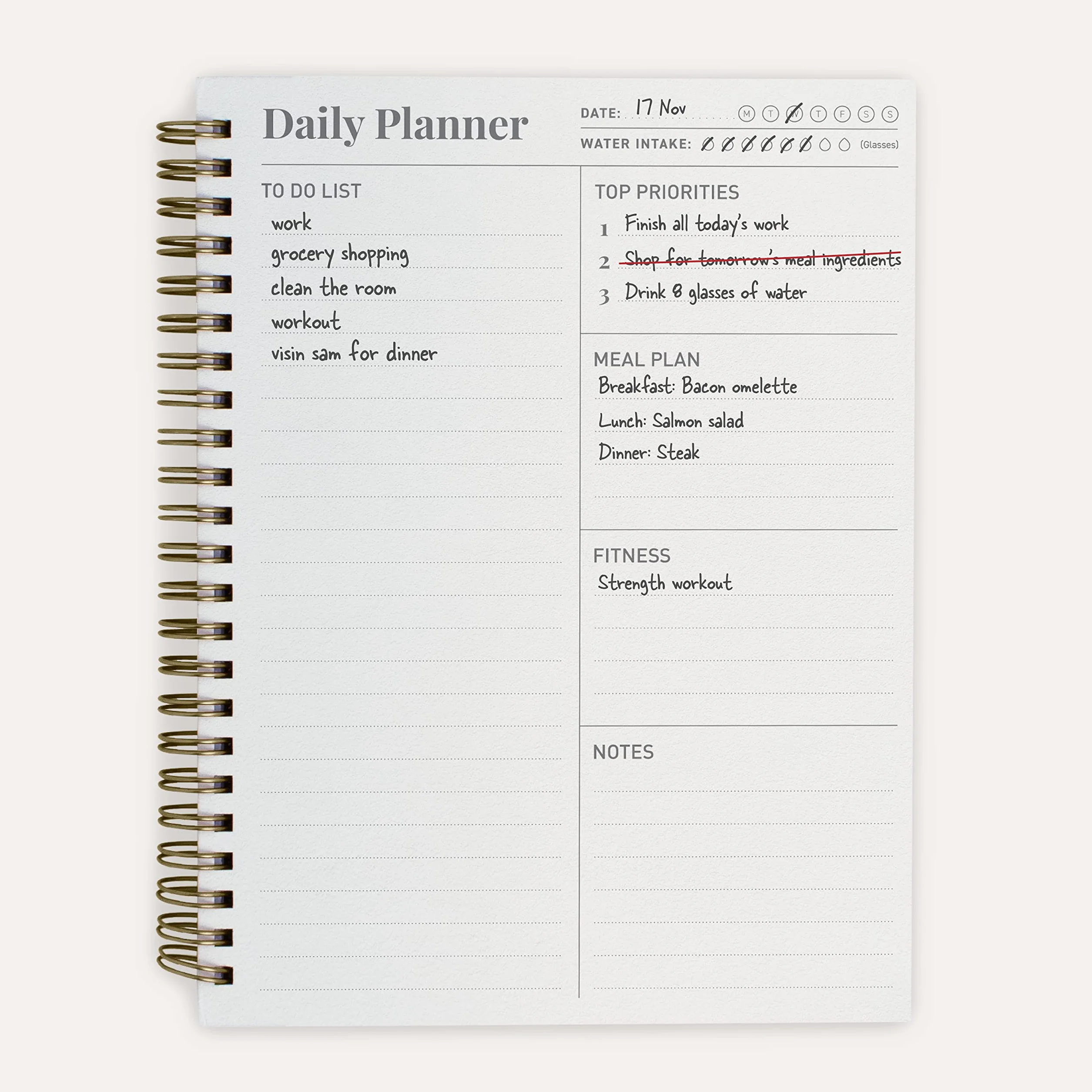 Agenda Pour Femme Daily Planner A5 160 Pages Non Datées Journal Fitness Planification Repas 20 cm x 15 cm