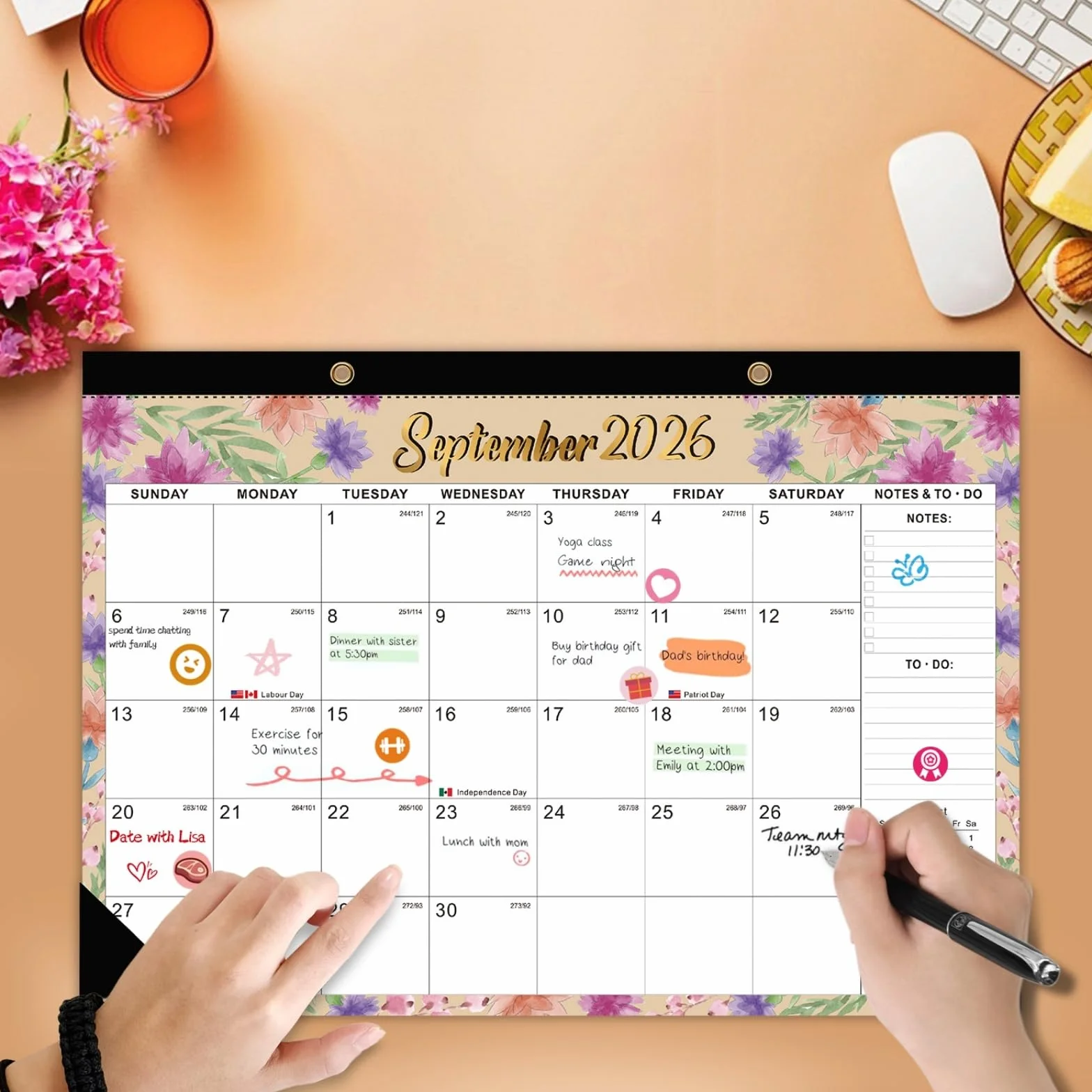 Calendrier mural juin 2026 décembre 2027 19 mois détachable autocollants planification bureau