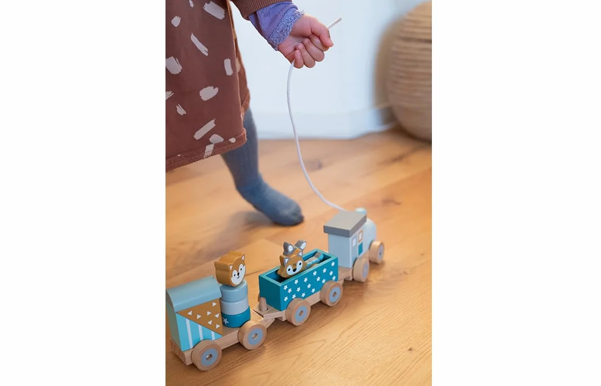 Kindsgut Petit Train en Bois et Cubes de Construction, Jouet en Bois bébé, Animaux du Zoo