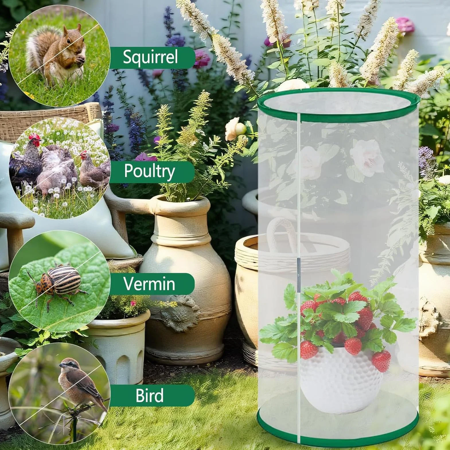 Cage à Papillons 30x40 cm avec Fermeture éclair Pliable Protection pour Études Naturelles