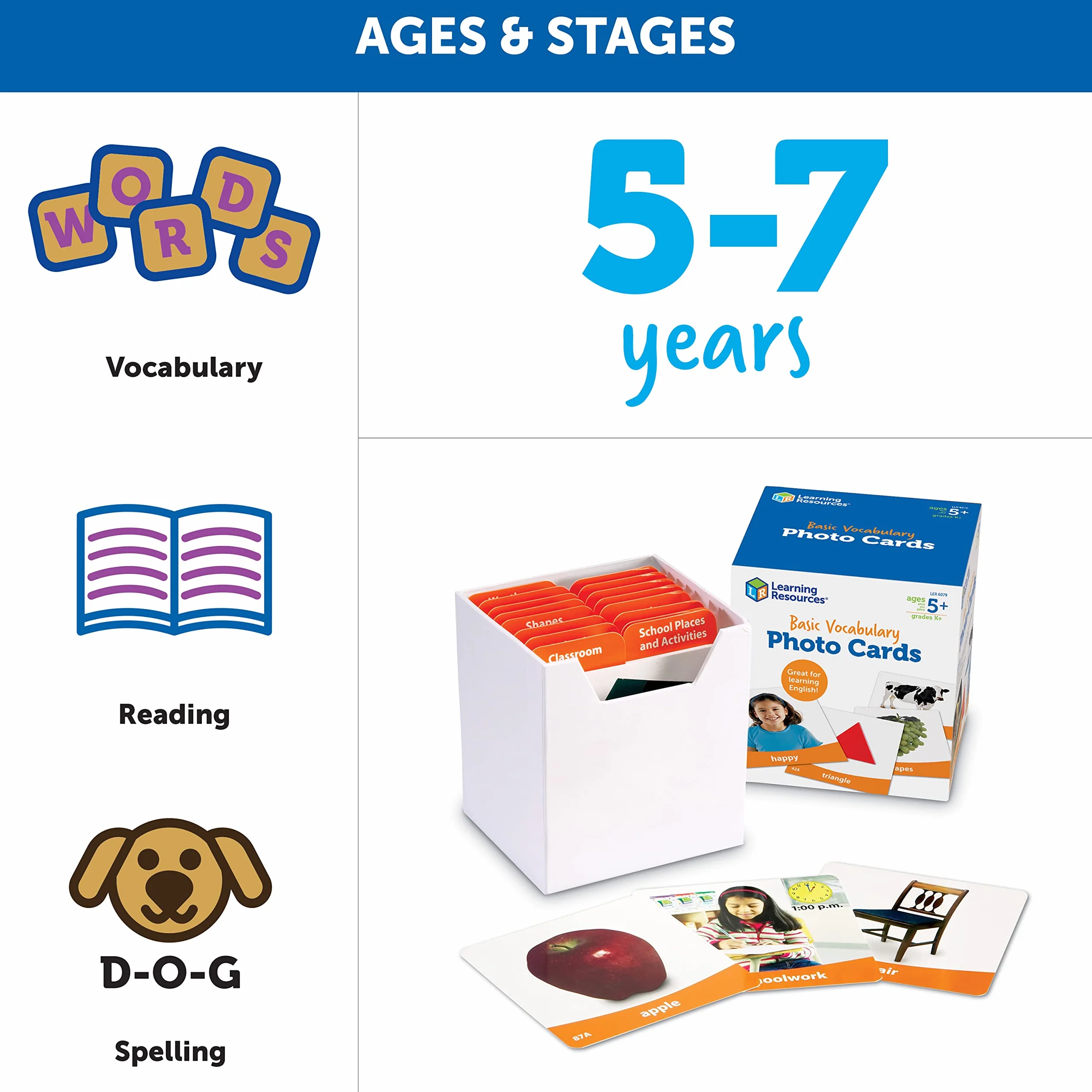Learning Resources Cartes Photos Vocabulaire de Base 156 Cartes Éducatives Effaçables Langage Lecture Anglais