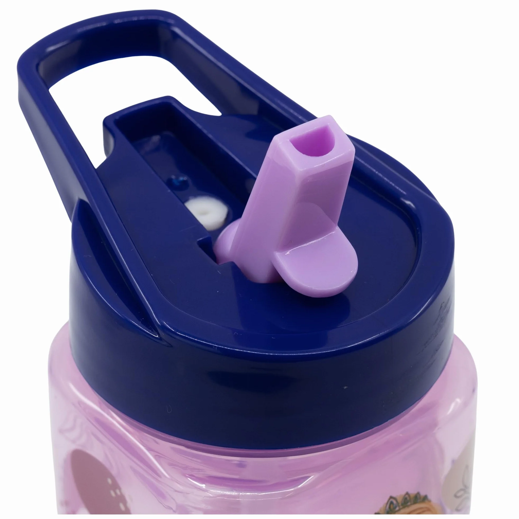 Gourde en Aluminium La Reine Des Neiges 740ml Bouteille Réutilisable avec Bouchon de Sécurité