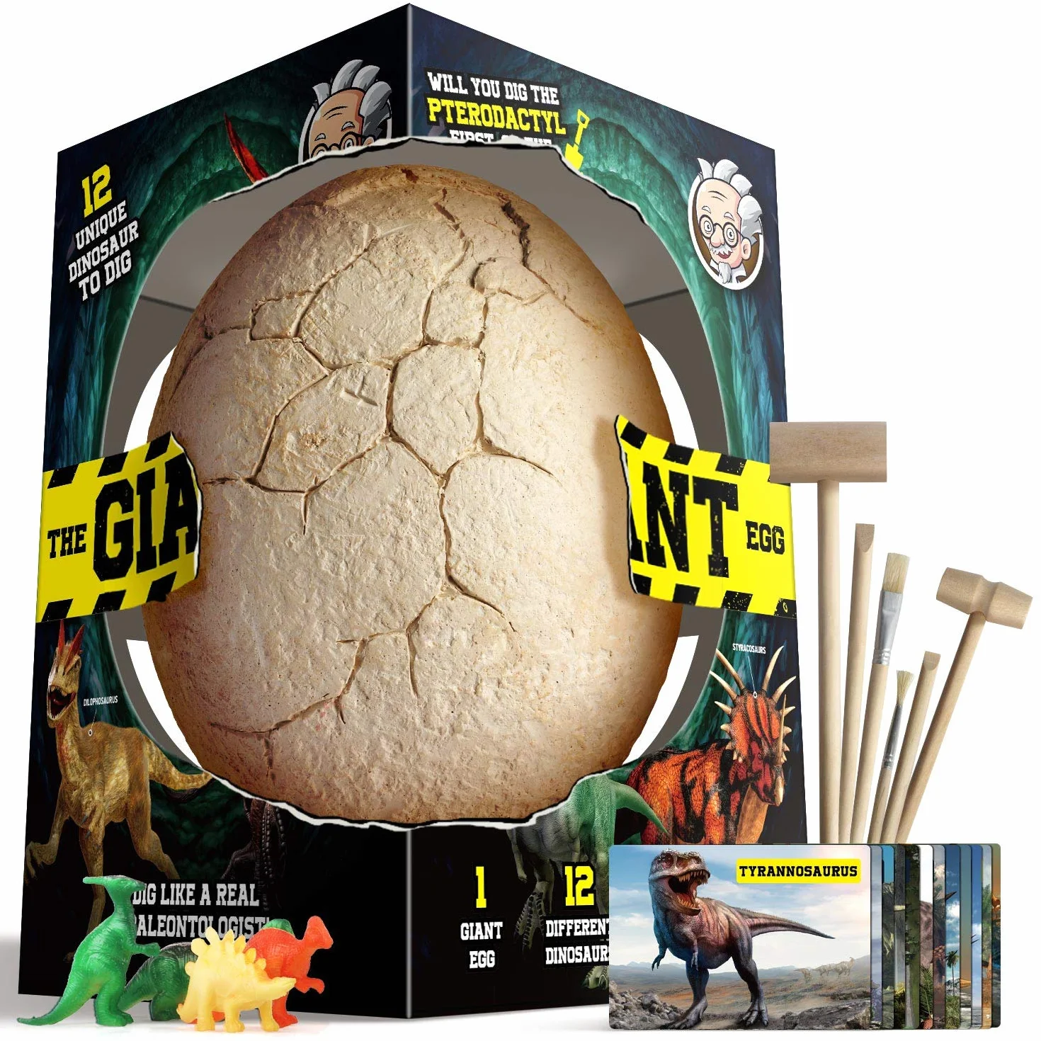 Dr.Daz Dino Egg Grand Oeufs de Dinosaure Kit de Fouille Découvrez 12 Dinosaures Jouet Archéologie Fête Pâques Garçon Fille 6 Ans