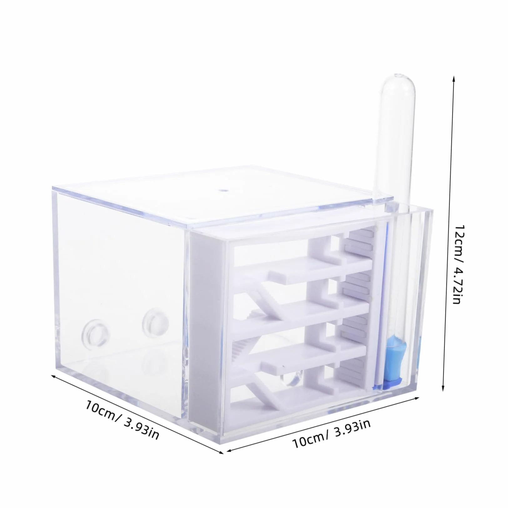 BESTonZON Fourmilière en Acrylique Observation Facile, Trousse Éducative pour Enfants, Jouet Scientifique