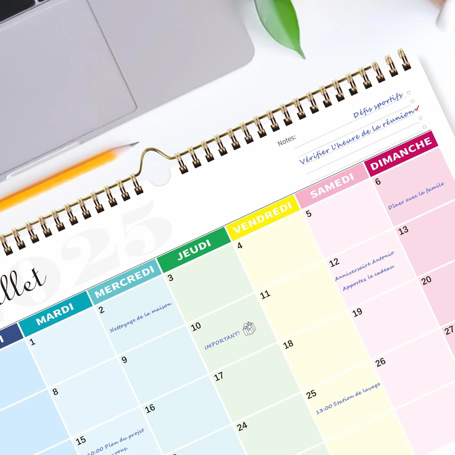 Calendrier 2026 Mural Coloré 18 Mois 31 x 21cm Familial Juillet 2025 à Décembre 2026 Mensuel