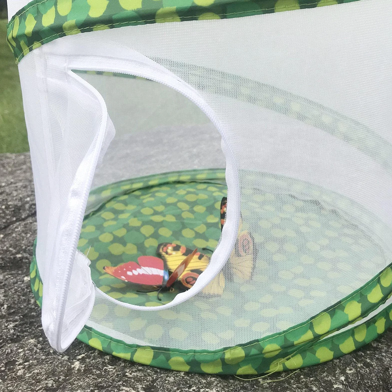 Cage d'élevage d'insectes pliable, filet de protection pour papillon et scarabée, portatif