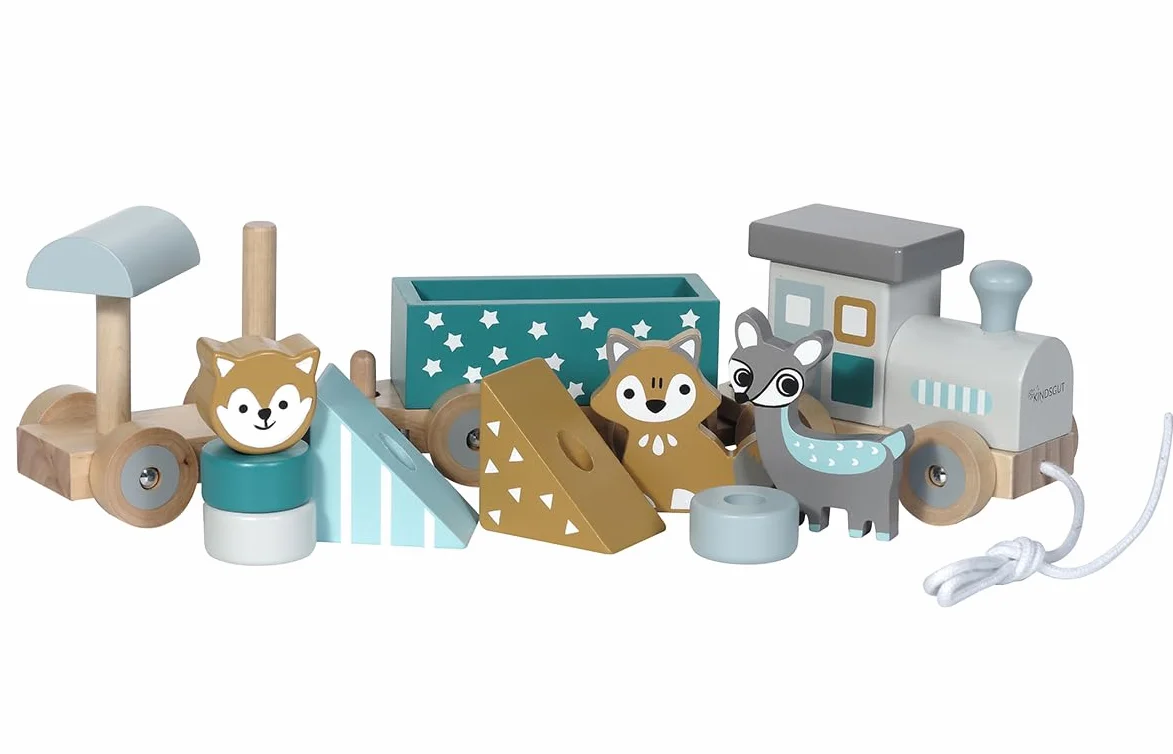 Kindsgut Petit Train en Bois et Cubes de Construction, Jouet en Bois bébé, Animaux du Zoo