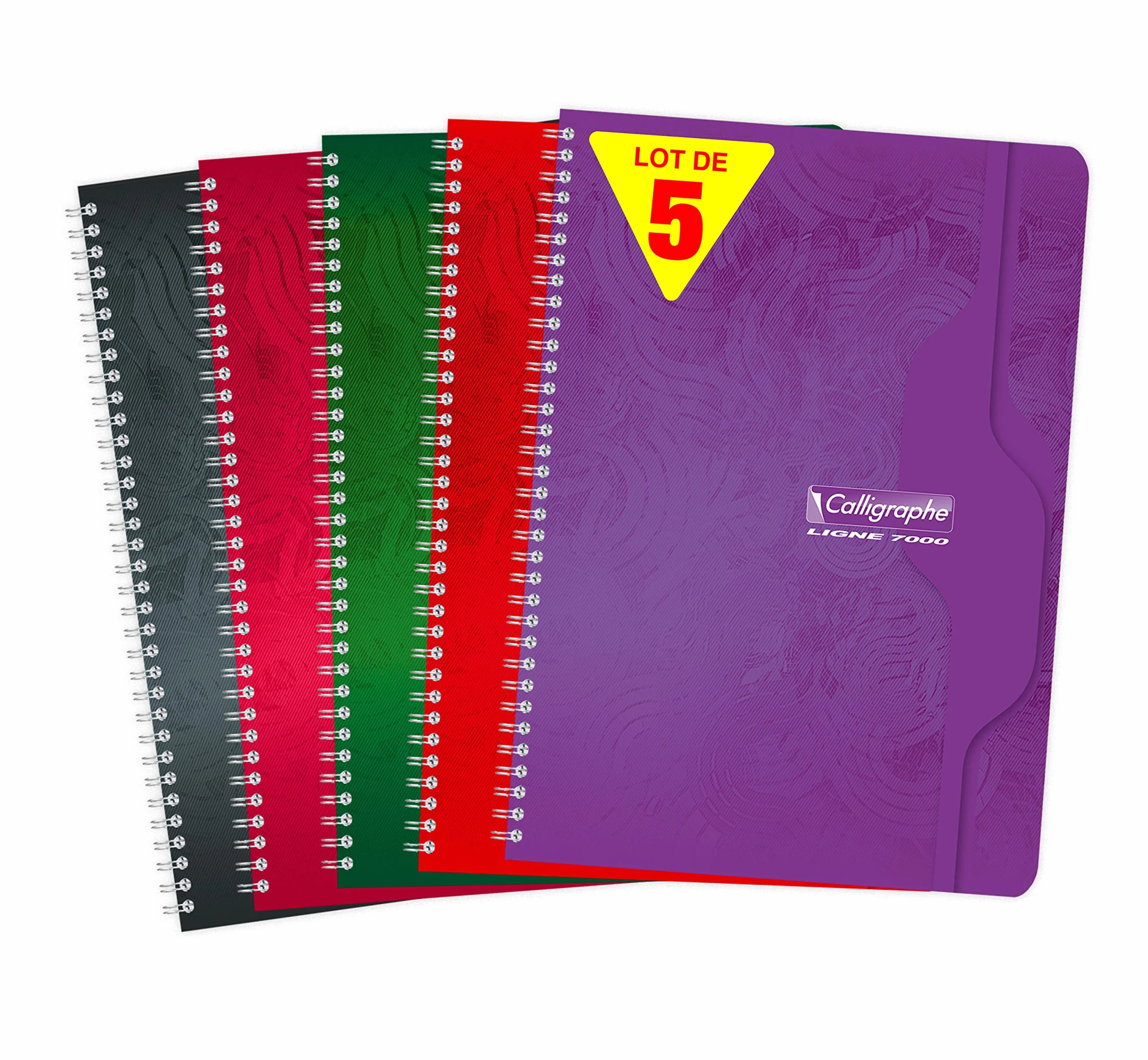Clairefontaine Calligraphe 2416C Lot de 5 Cahiers A4 21x29,7 cm 180 Pages Grands Carreaux Papier 70 g