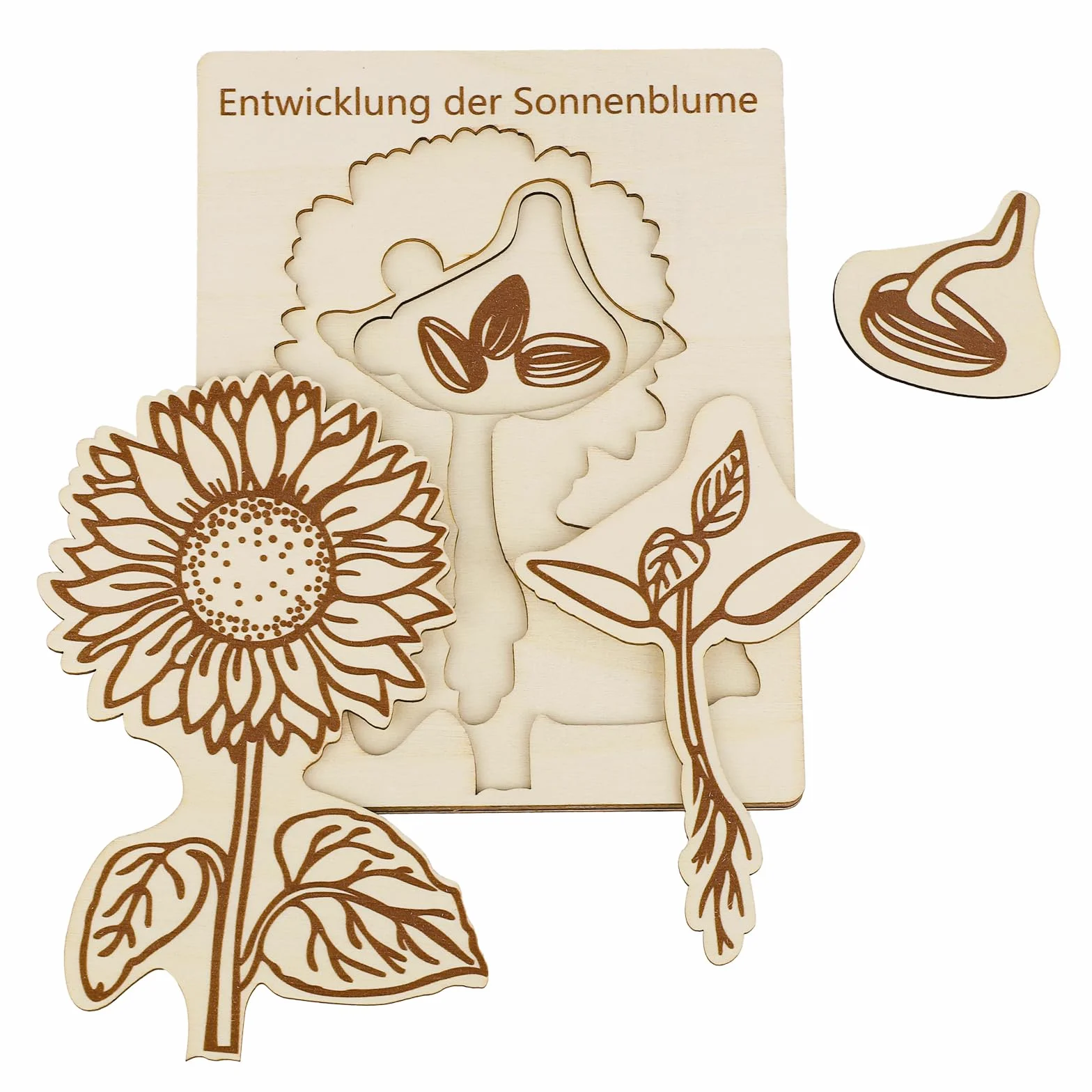 Puzzle du Cycle Vie Tournesol pour Enfants, Jouets Éducatifs en Bois, Apprentissage du Cycle Vie, 3-8 Ans