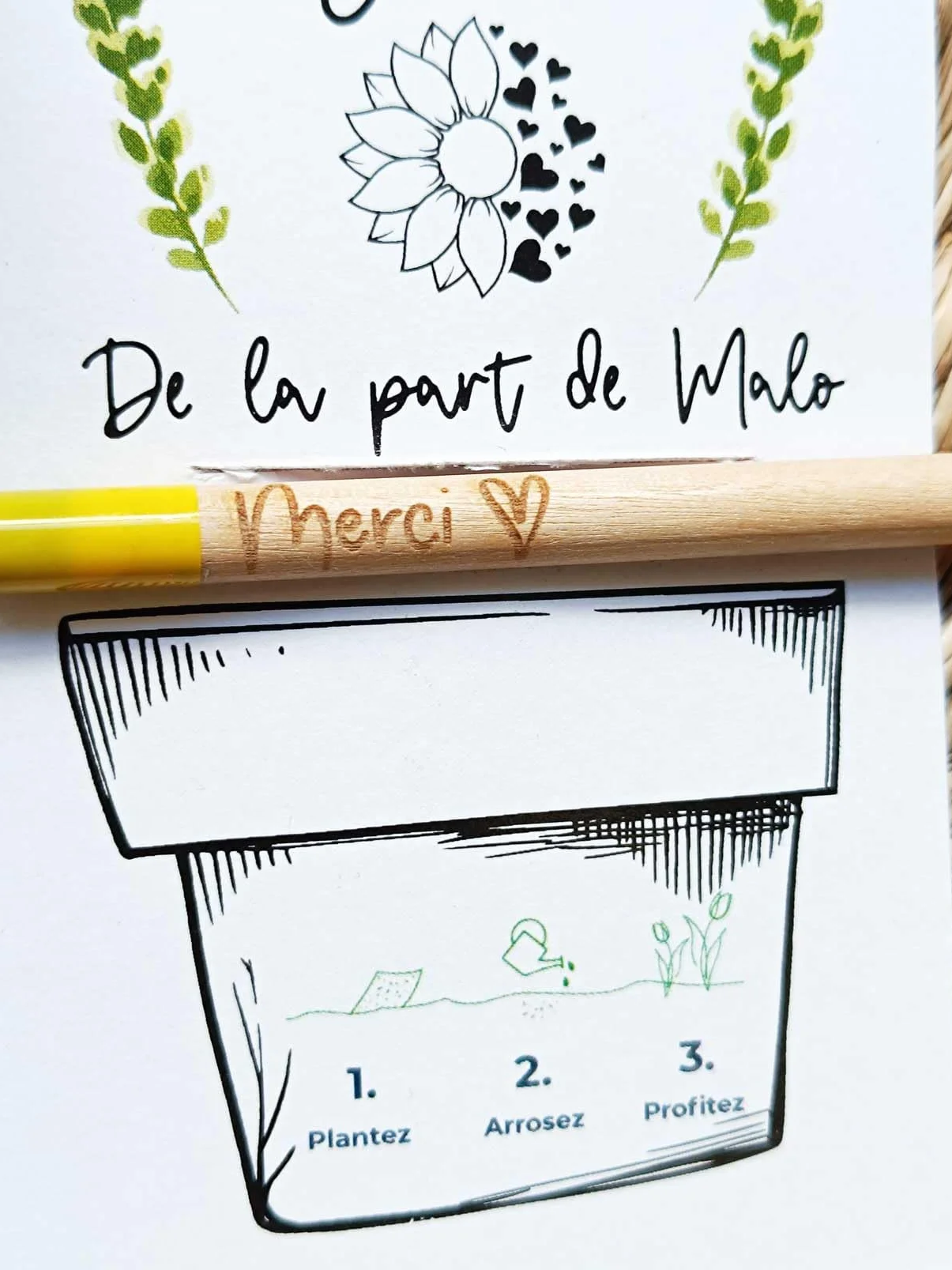 Crayon à planter Merci Tournesol Lavande Coquelicot Cadeau Maîtresse Atsem Nounou