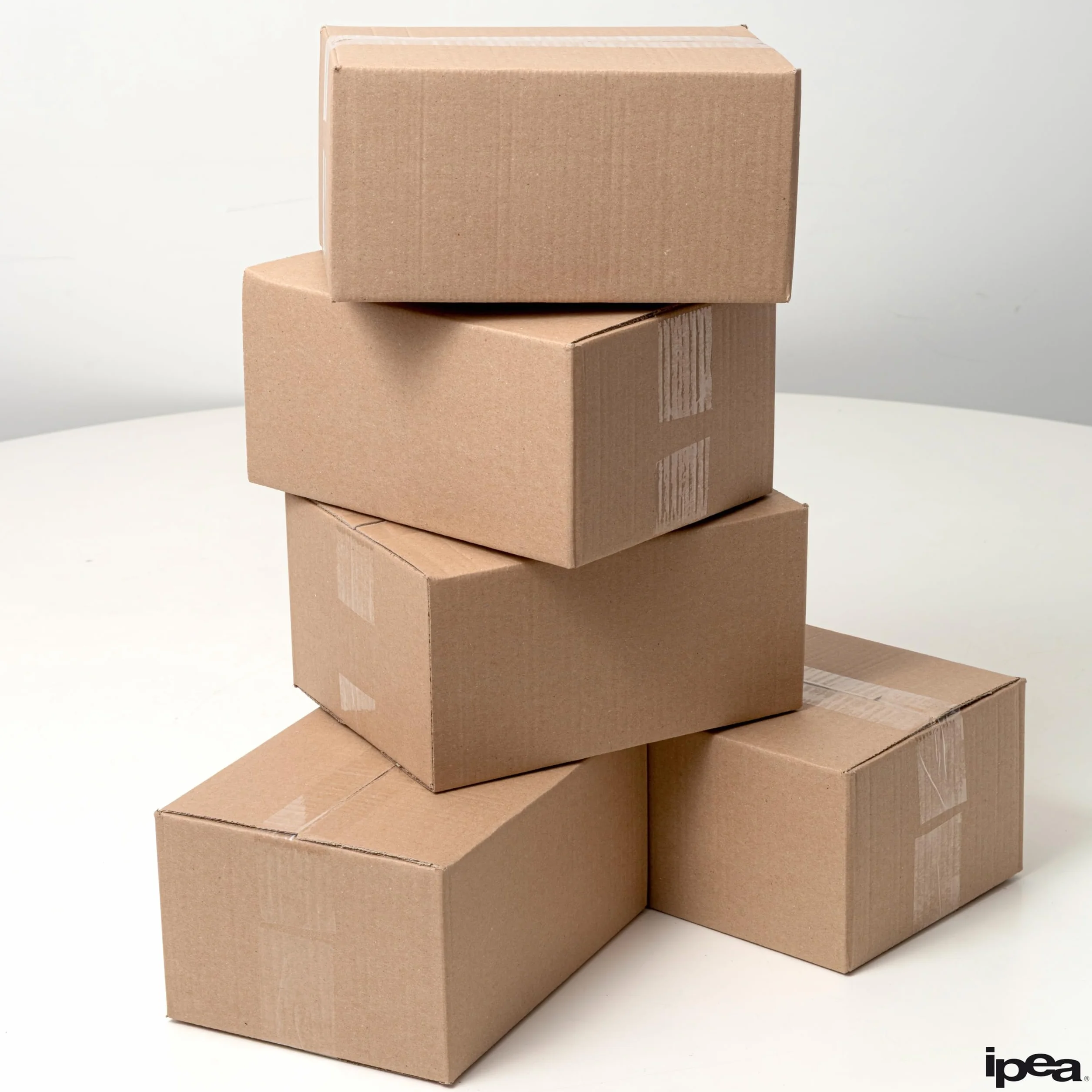 IPEA Boîtes en Carton 25 x 18 x 12 cm 10 Pièces pour Expéditions E-Commerce Emballage
