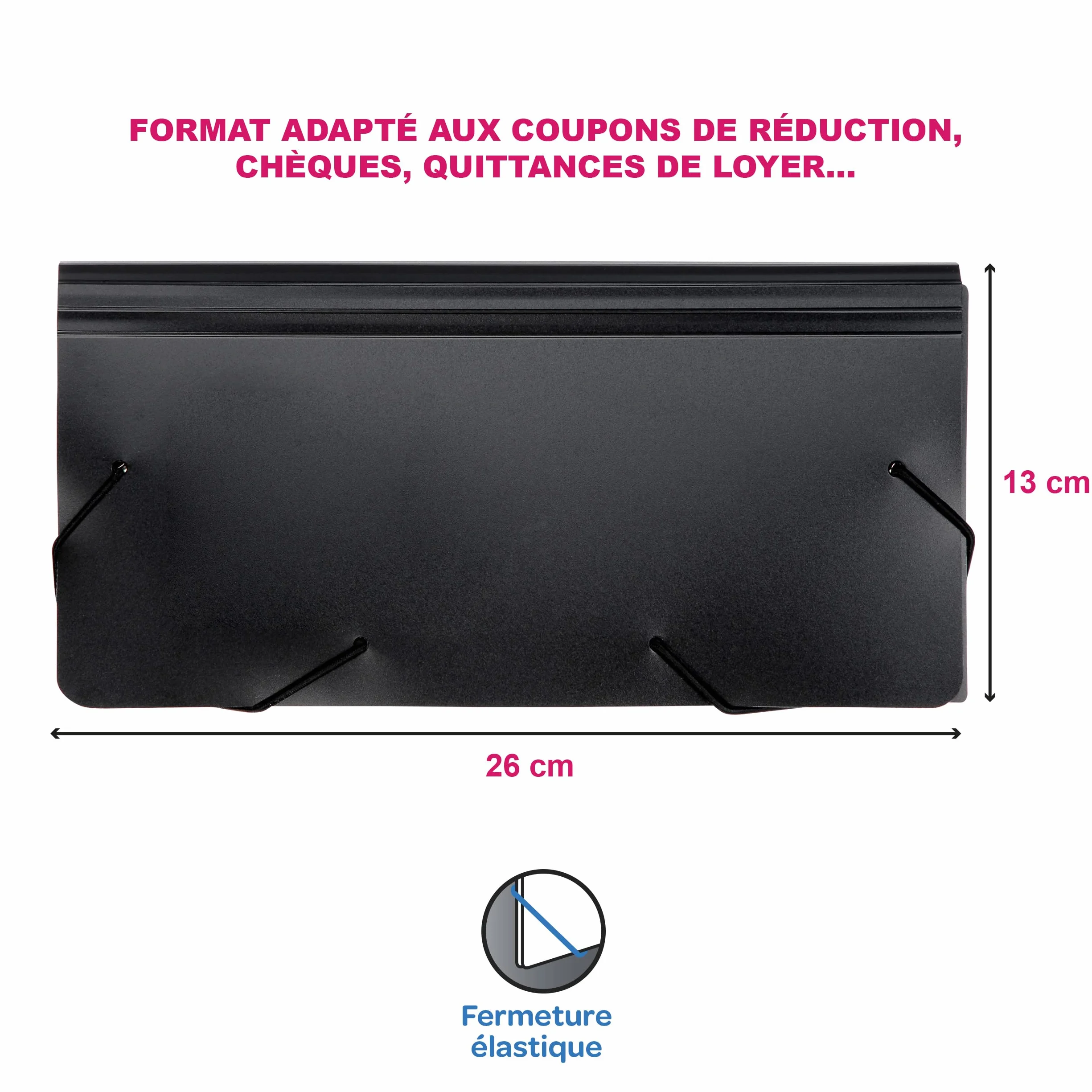 Viquel Rainbow Class Trieur Accordéon de Bureau 12 Positions Organisateur Extensible 26 x 13 cm