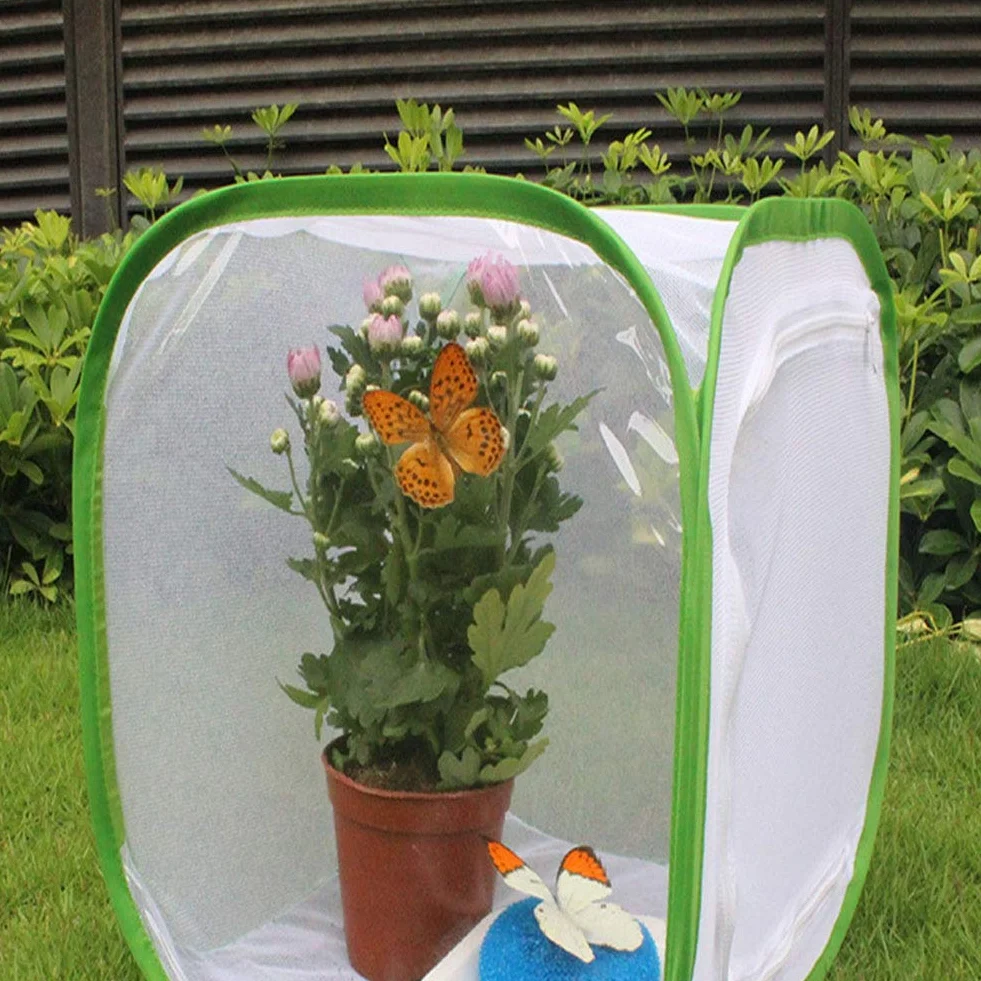 Pliante Cage Chenilles Papillons Kit Professionnel Tissu 60x60x90 cm
