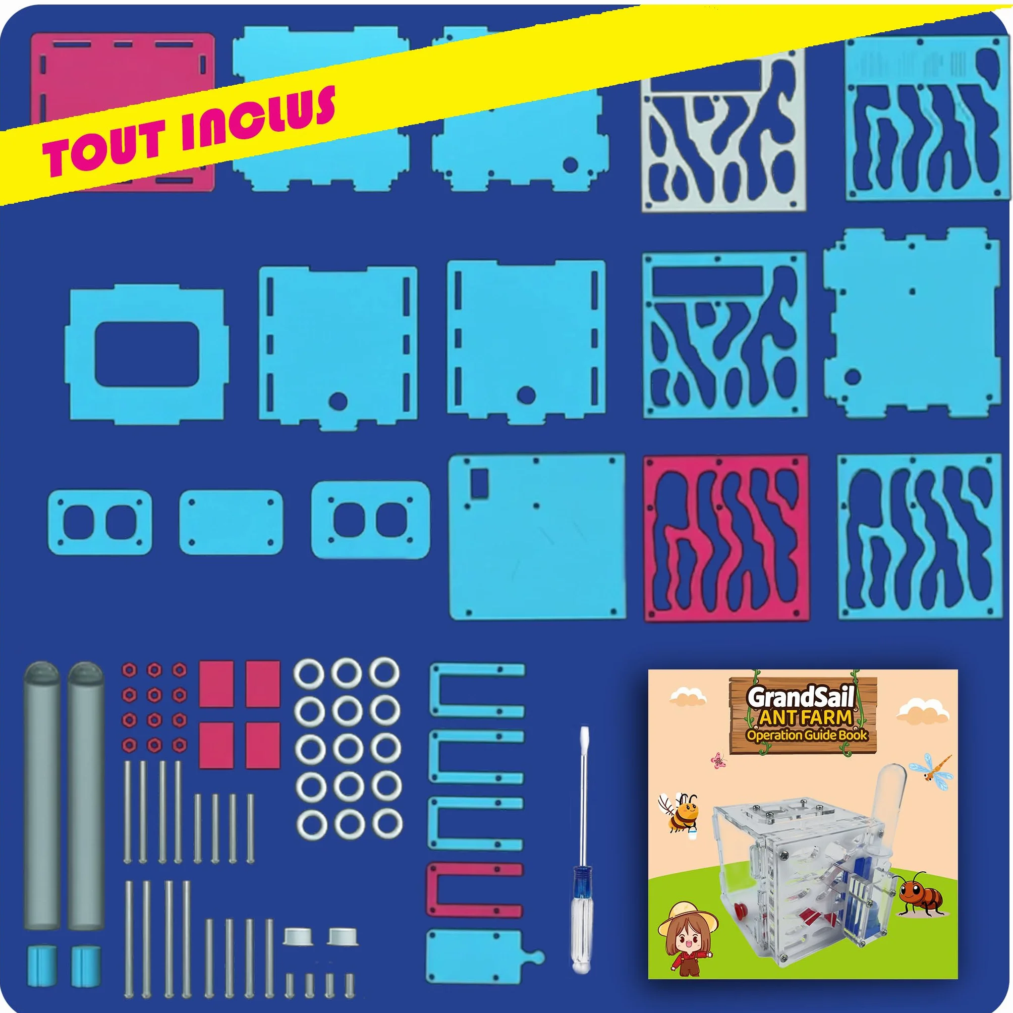 Kit de démarrage fourmilière acrylique système hydratation automatique facile installation nid fourmis peu entretien débutants