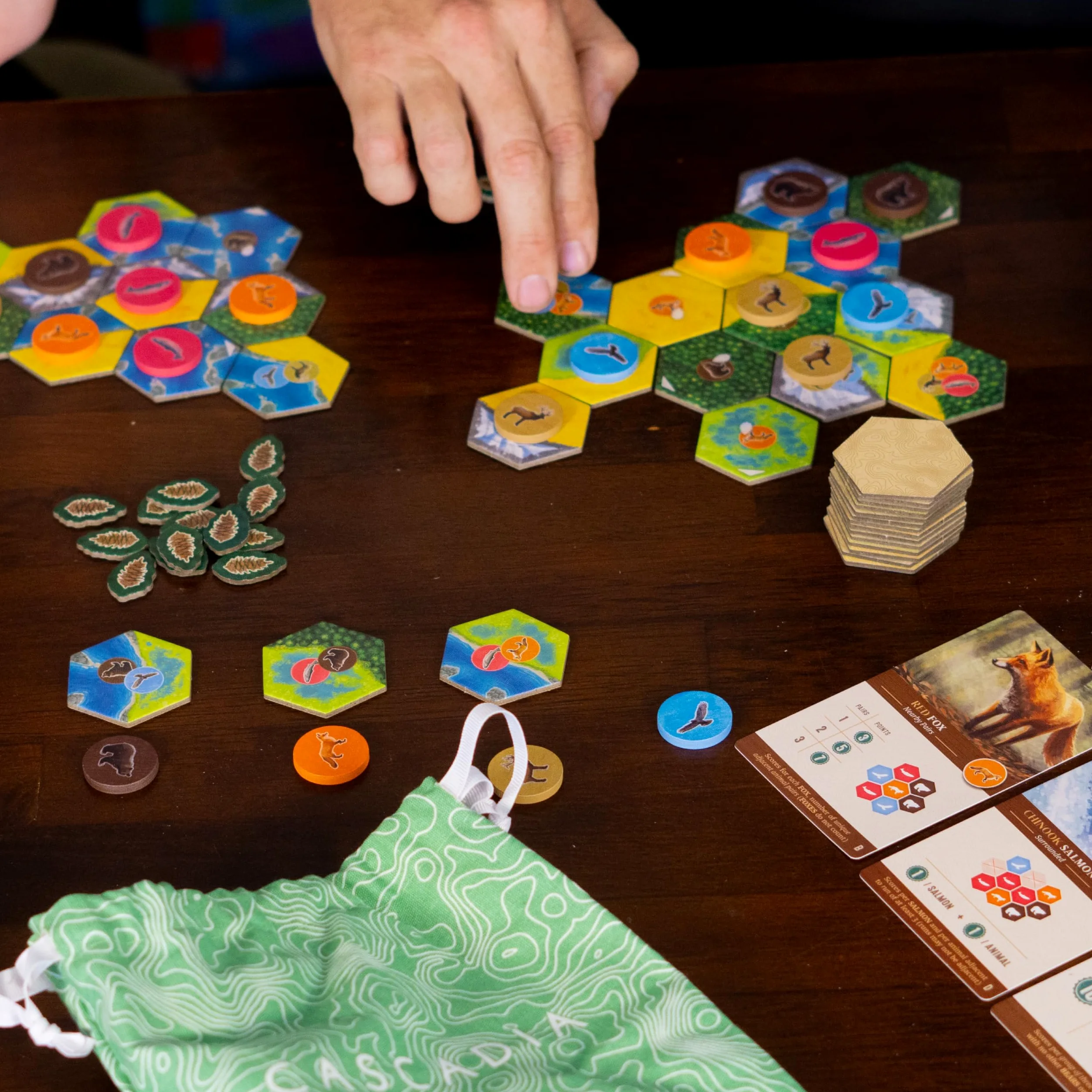 Alderac Entertainment - Cascadia - Board Game - Base Game - for 1-4 Players - from Ages 10+ - English