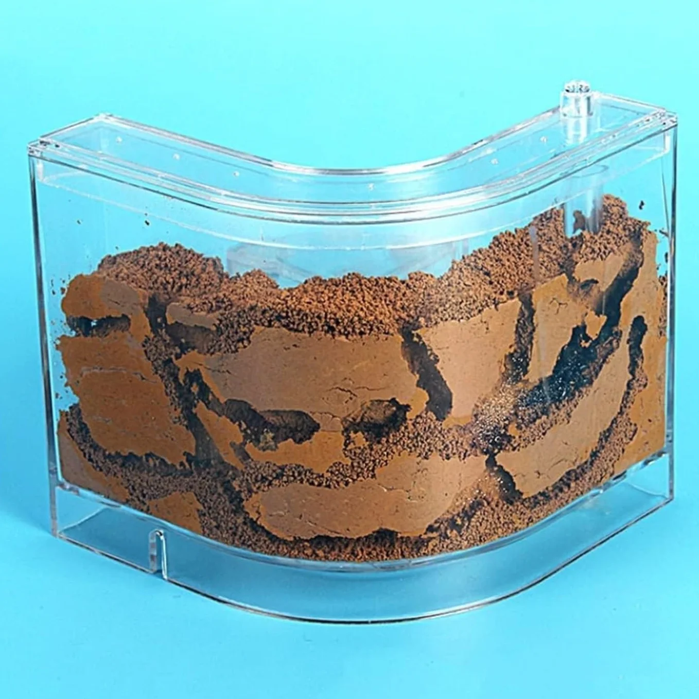 Ferme de Fourmis Nid de Fourmis Maison Château Rempli de Sable d'Argile Professionnel Ant Nest Habitat 1pcs