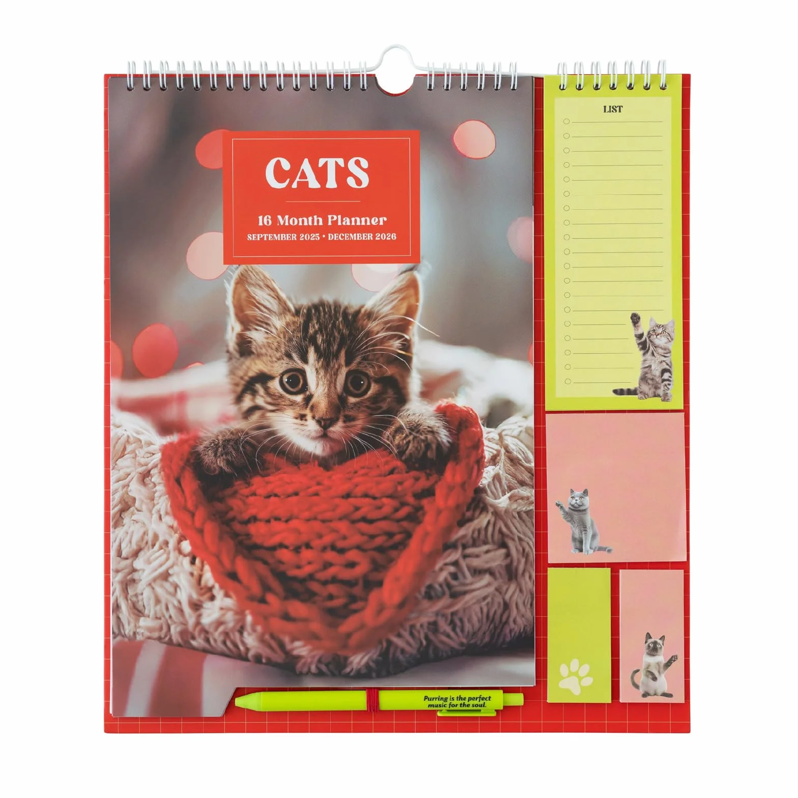 Calendrier Chats 2025 2026 16 mois Planificateur Mensuel Familial Grupo Erik