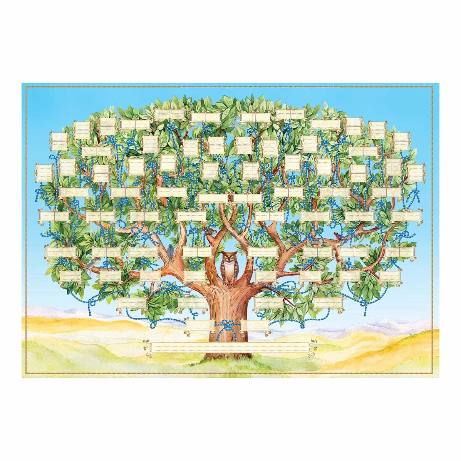 Diagramme d'arbre généalogique - Graphiques vierges - Carte à remplir - Histoire familiale
