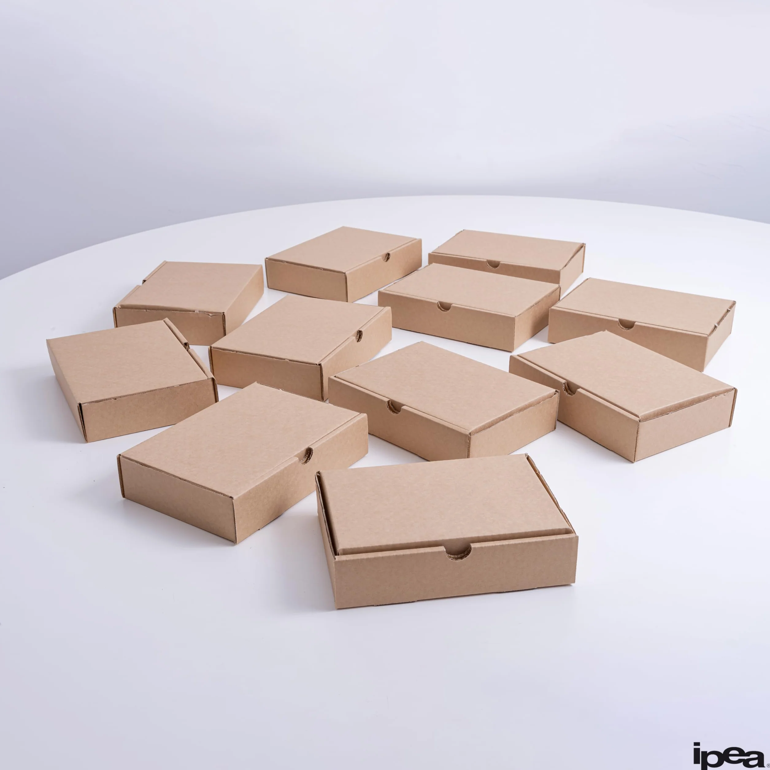 IPEA Boîtes en Carton 21 x 15 x 5 cm 10 Pièces Made in Italy pour Expéditions E-Commerce