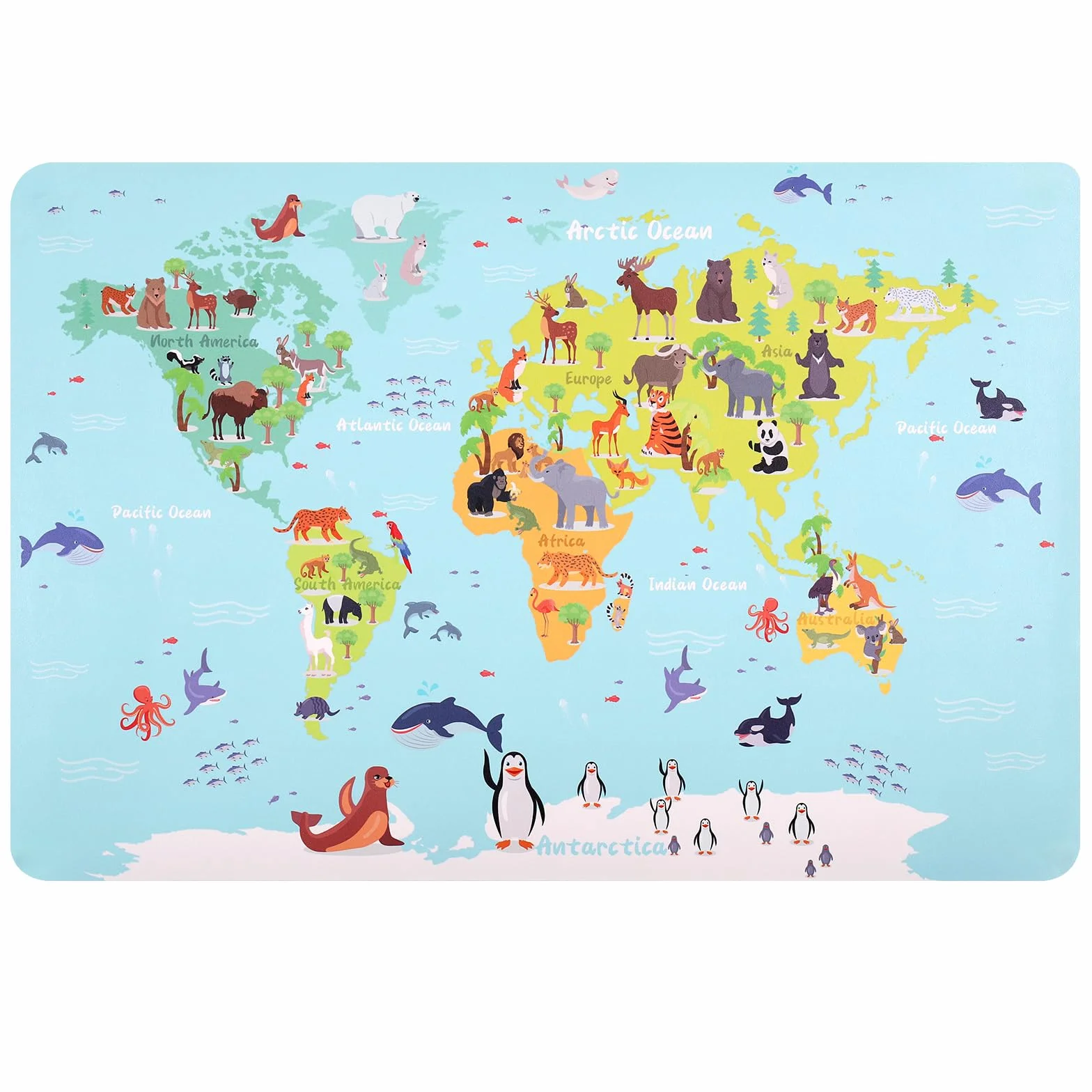 Sous-mains cuir PU Grand Tapis de souris Carte animée continents océans 60 x 40 cm