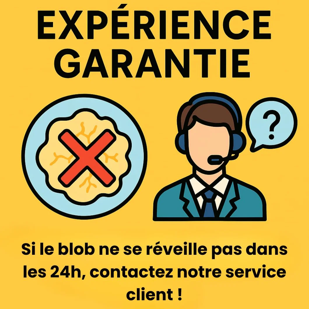 Kit d'élevage de Blob - Kit de Culture Blob - Expériences Scientifiques Enfants - Cadeau Fille Garçon