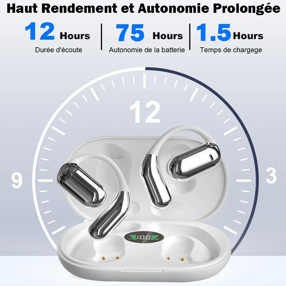Ecouteur Traducteur Instantané sans Fil IPX5 Étanche Bluetooth Réducteur de Bruit pour Voyage
