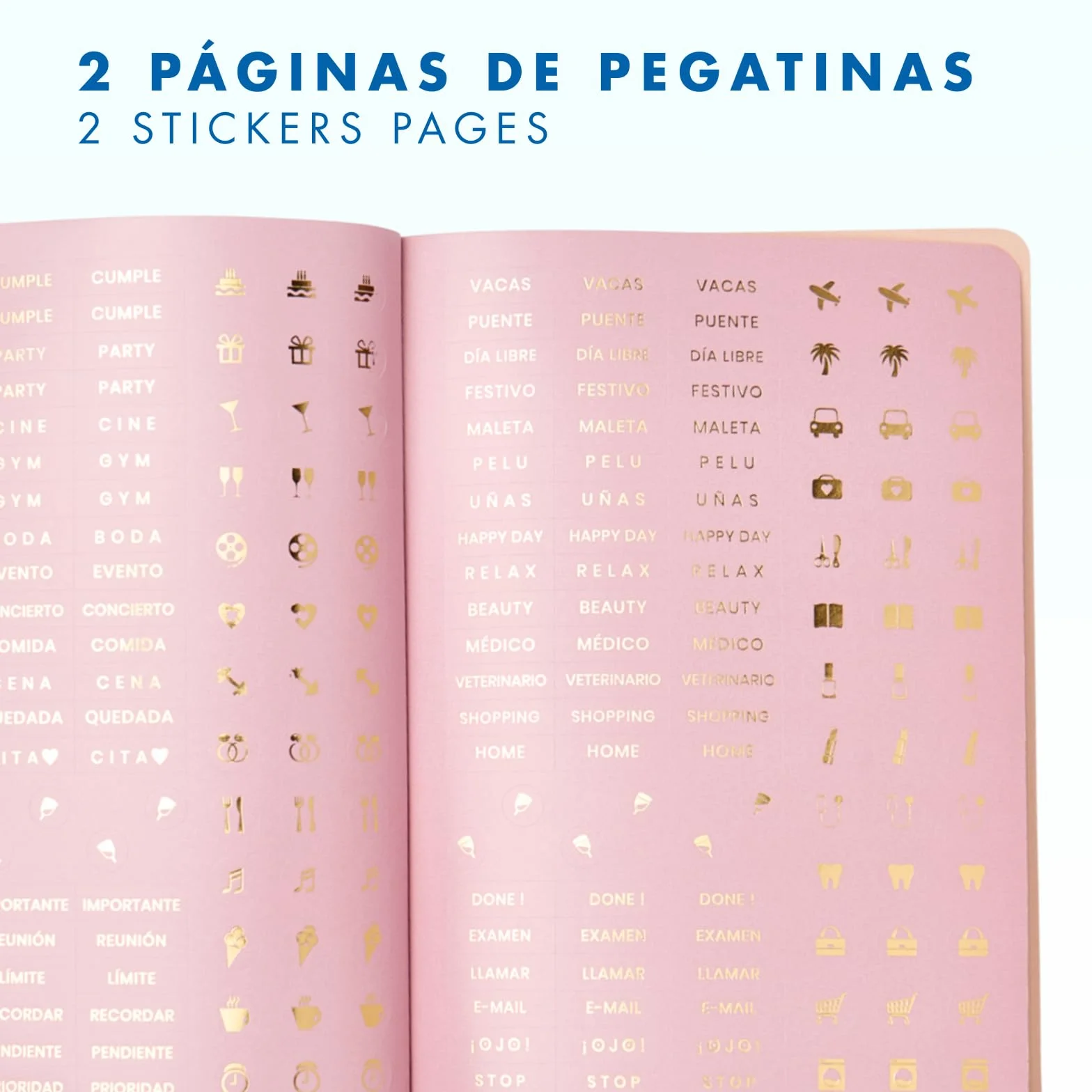 Agenda Scolaire 2026 2027 Septembre à Juin Semaine Vue A5 15x21 cm Langues ESP ENG FRA ALL Couverture Souple Simili Cuir Fermeture Élastique Avec Stickers Green Mousse
