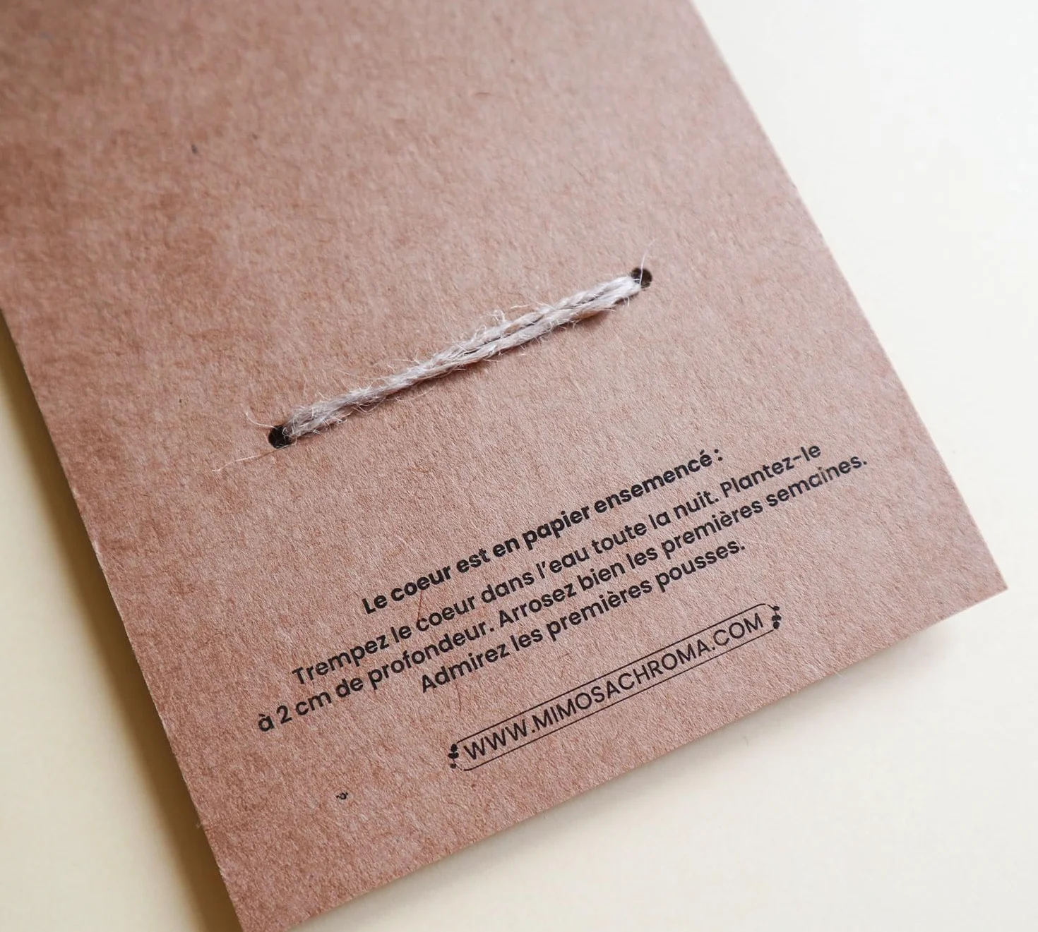 Carte cadeau nounou maîtresse ATSEM coeur à planter