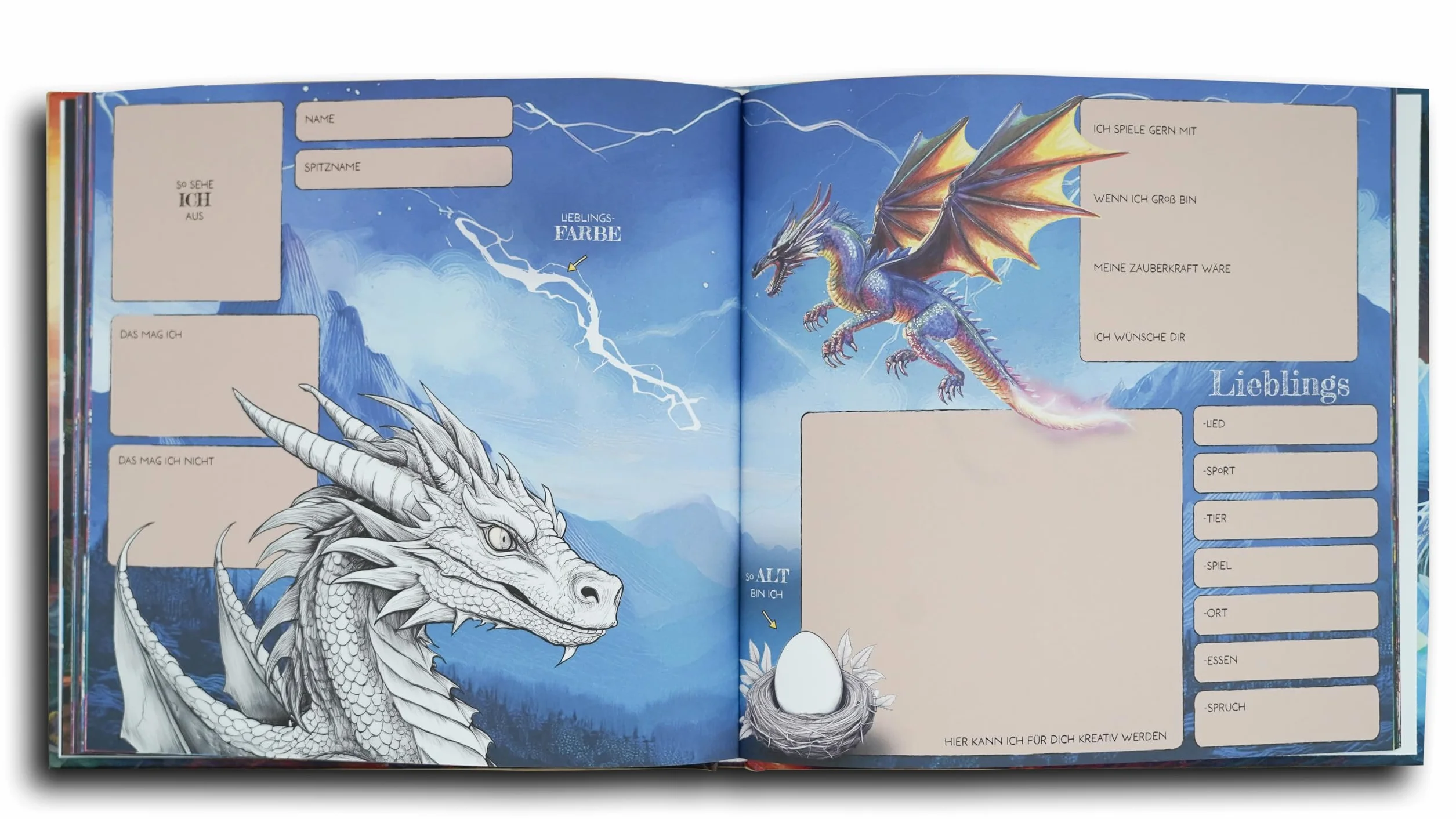 Livre d'amitié Mon dragon ami pour garçons et filles maternelle école primaire Cadeau rentrée des classes