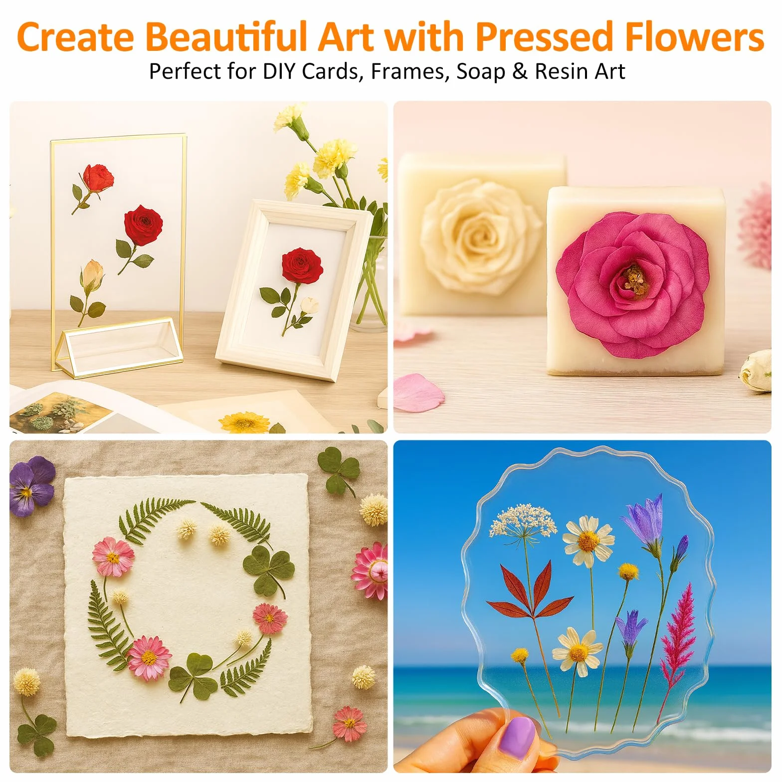 Kit de presse à fleurs en bois 27,5 x 27,5 cm pour plantes séchage bricolage réutilisable