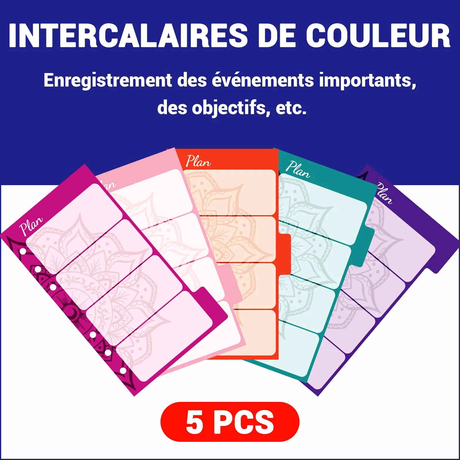 Planificateur de budget Français avec séparateurs colorés