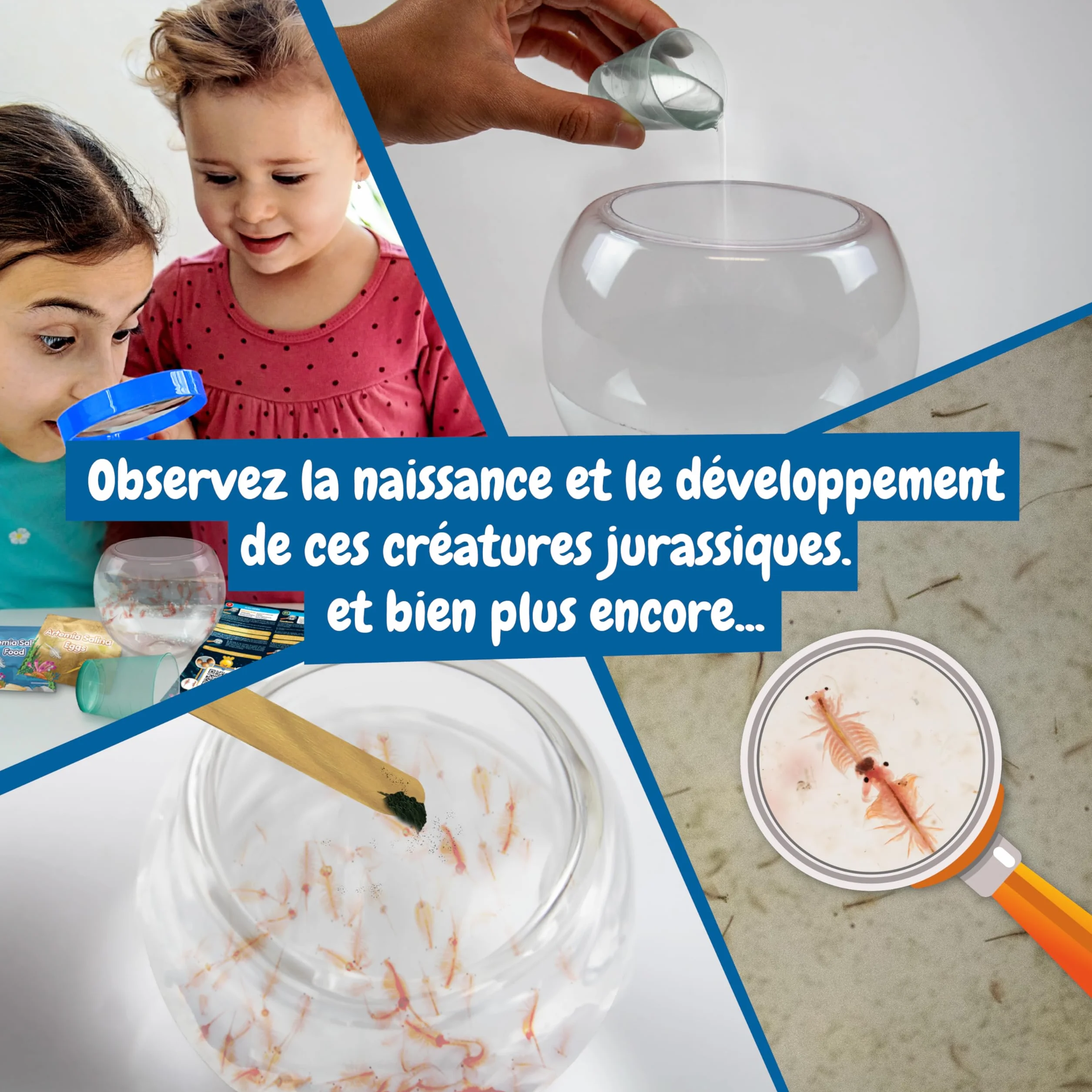 Science4you Créatures Marines Jurassiques pour Enfants - Écosystème Aquarium avec Dragons d'Eau, Jouet 5+ Ans