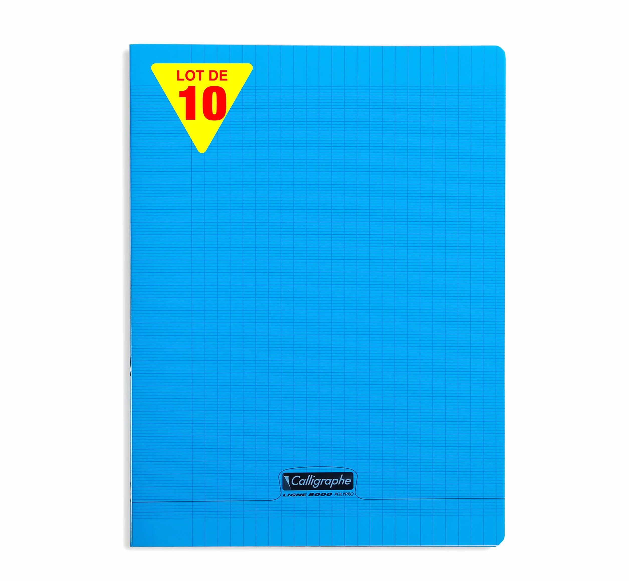 Clairefontaine Calligraphe 18192C 10 Cahiers Piqués Gamme 8000 96 Pages 24x32 cm 90g Grands Carreaux Couverture Polypro Bleu