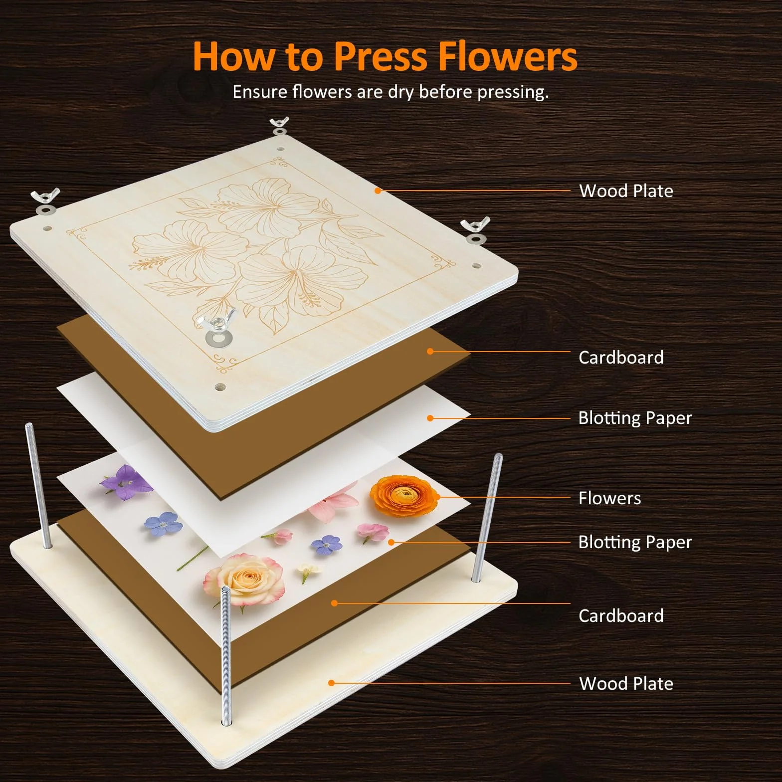 Kit de presse à fleurs en bois 27,5 x 27,5 cm pour plantes séchage bricolage réutilisable
