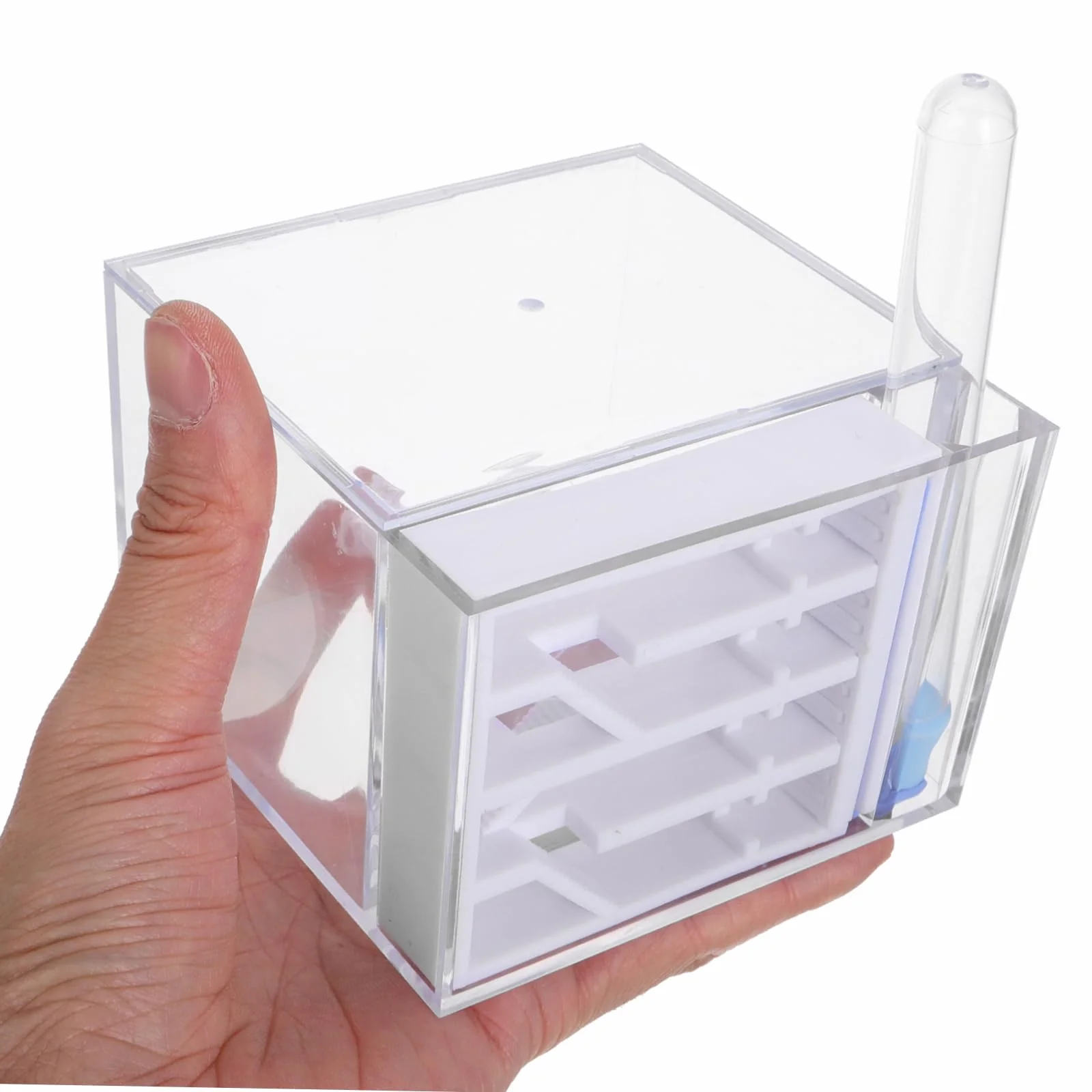 BESTonZON Fourmilière en Acrylique Observation Facile, Trousse Éducative pour Enfants, Jouet Scientifique