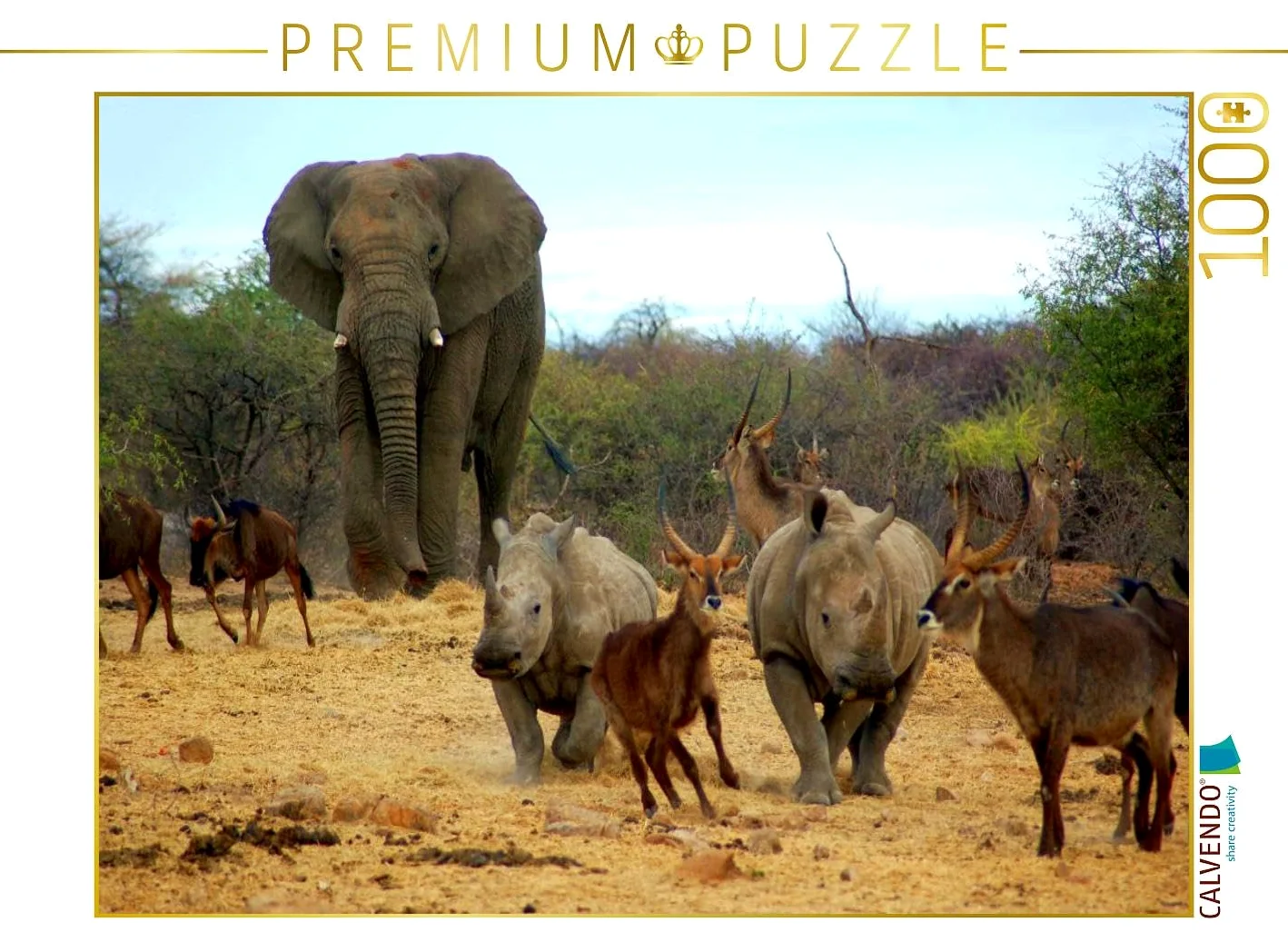 CALVENDO Puzzle Éléphant et Autres Animaux africains 1000 Pieces 64 x 48 cm from Eduard Tkocz