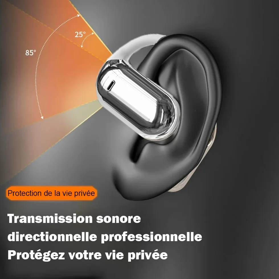 Ecouteur Traducteur Instantané sans Fil IPX5 Étanche Bluetooth Réducteur de Bruit pour Voyage