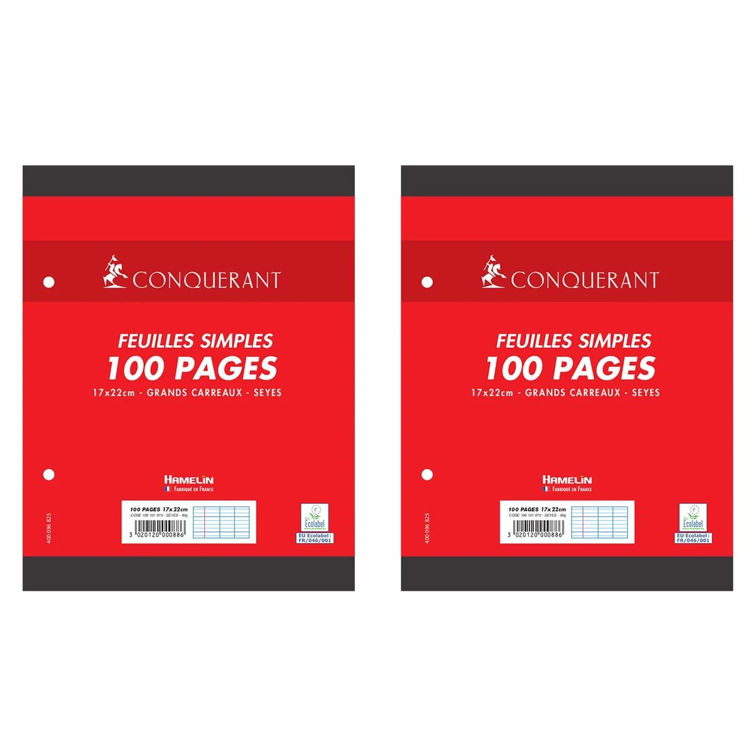 CONQUÉRANT Lot de 2 Feuilles Simples 17x22cm 100 Pages 90G Grands Carreaux Sous Film Blanches