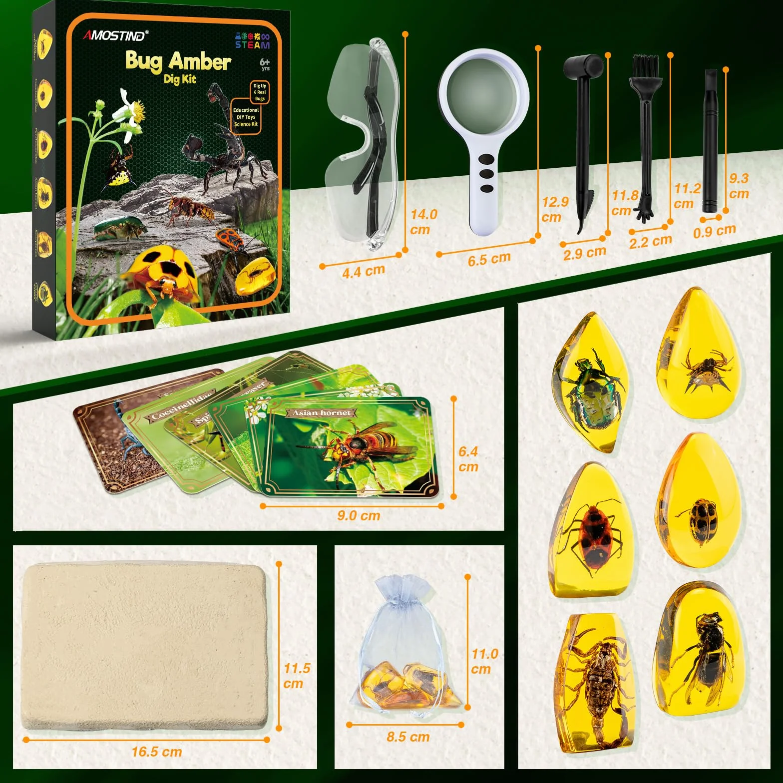 AMOSTING Science et Jeu Kit de Fouille Ambre avec Fossiles d'Insectes en Résine Artificielle pour Enfant 6+ Ans
