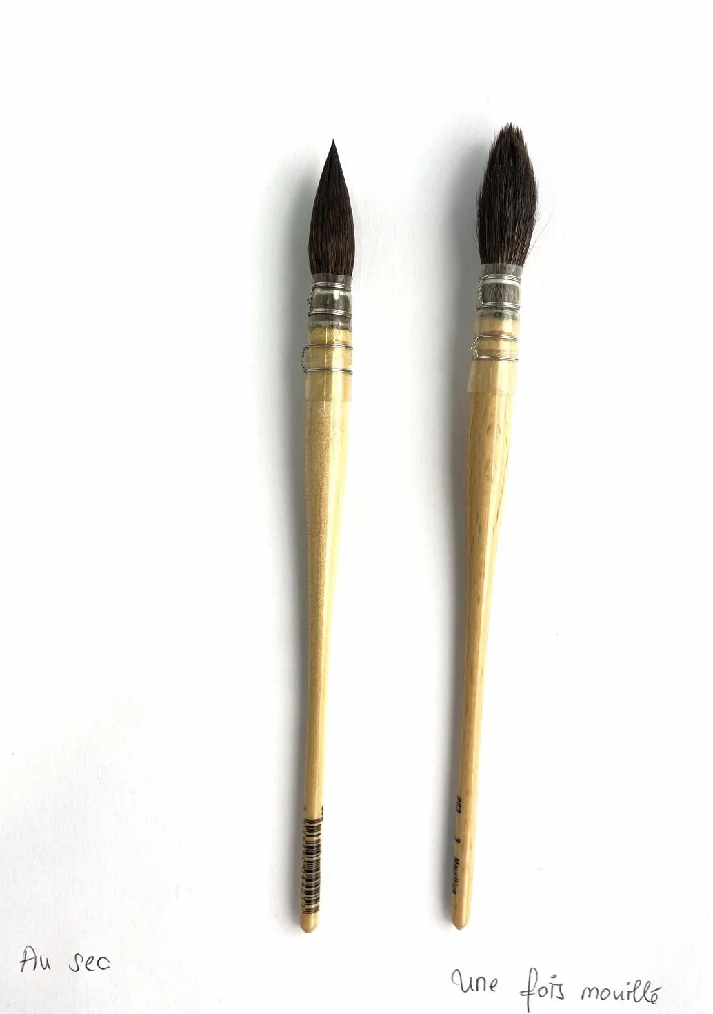 Raphael Pinceau Lavis Aquarelle Petit Gris Pur Série 803 No. 1 0/3 Set 2 Pcs