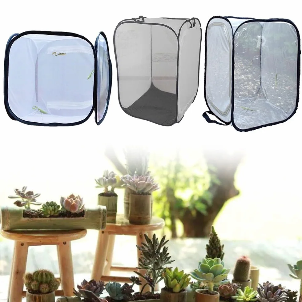 Boîte de croissance pour plantes avec boîtier papillon 30 x 30 x 30 cm