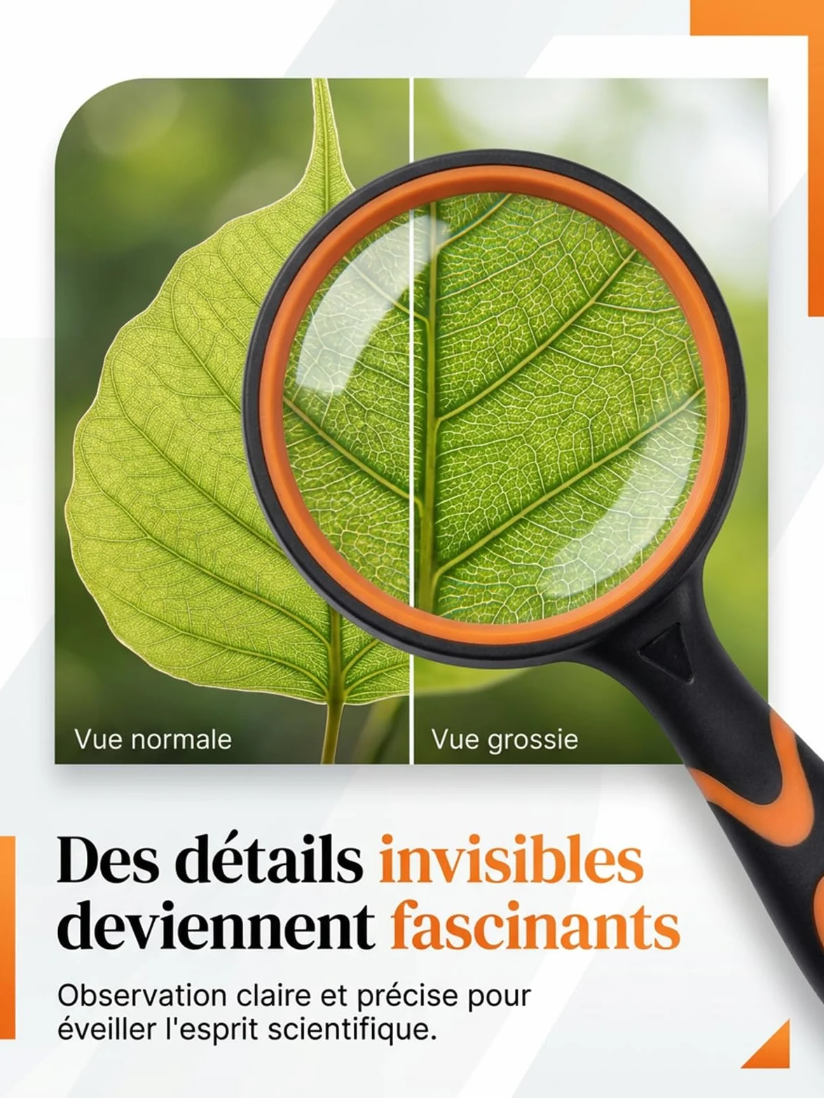 Soleado Loupe Enfant Haute Définition 65mm Lentille Verre Anti-Rayures Manche Caoutchouc Antidérapant