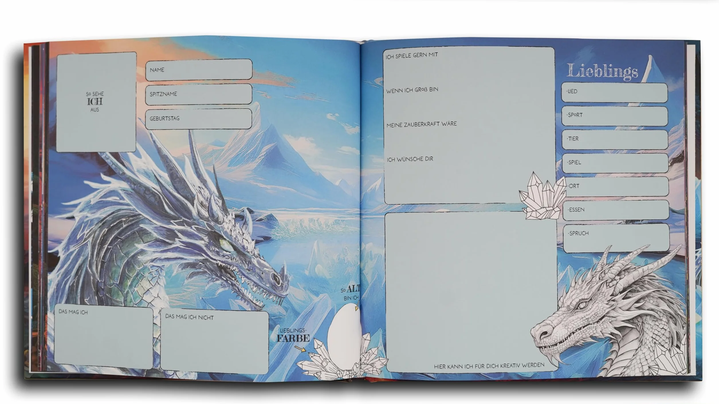 Livre d'amitié Mon dragon ami pour garçons et filles maternelle école primaire Cadeau rentrée des classes