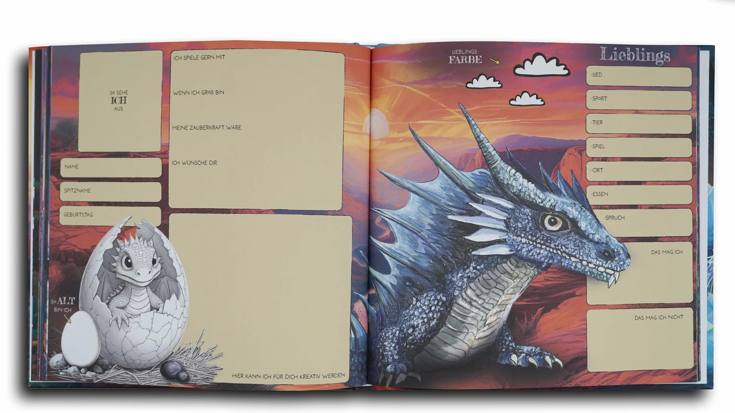 Livre d'amitié Mon dragon ami pour garçons et filles maternelle école primaire Cadeau rentrée des classes