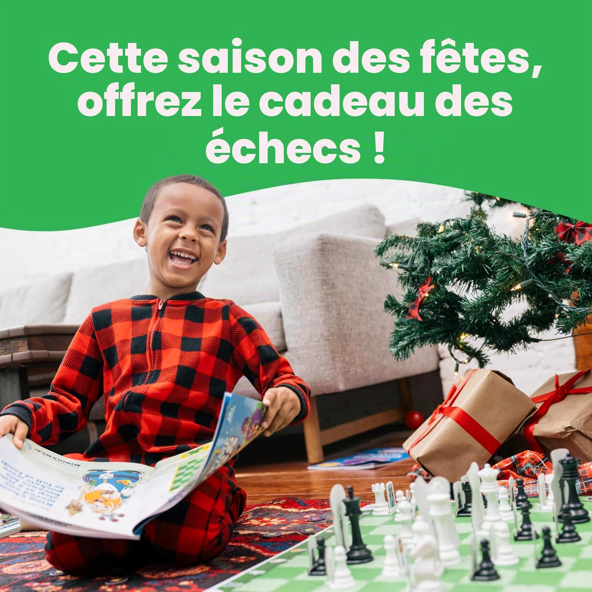 Story Time Chess - Jeu d'échecs pour débutants avec Livre, Jeu d'échecs, Jeux de société d'apprentissage Traditionnels pour garçons et Filles âgés de 3 à 103 Ans