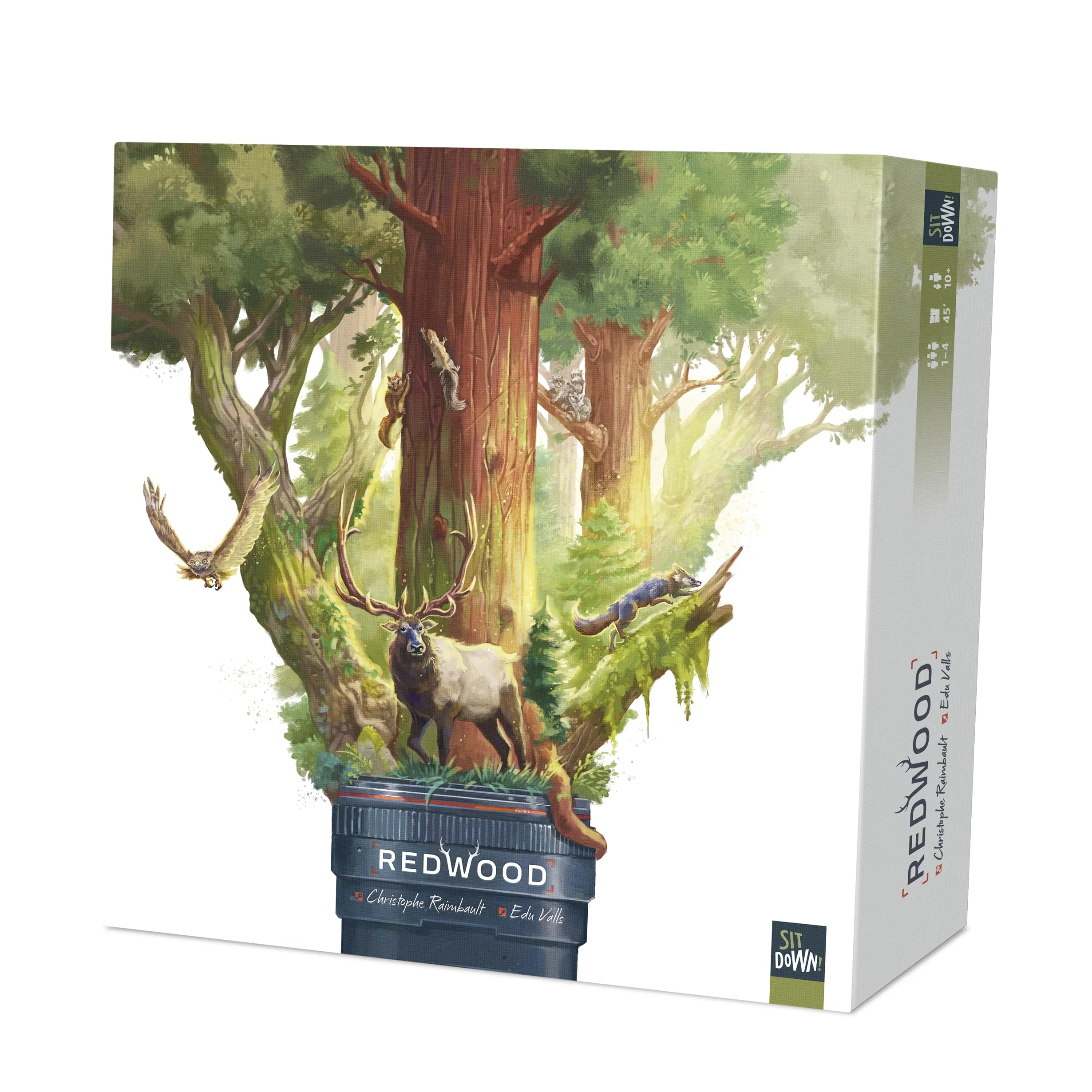 HUCH! Redwood Version Retail Jeu Familial à partir de 10 Ans