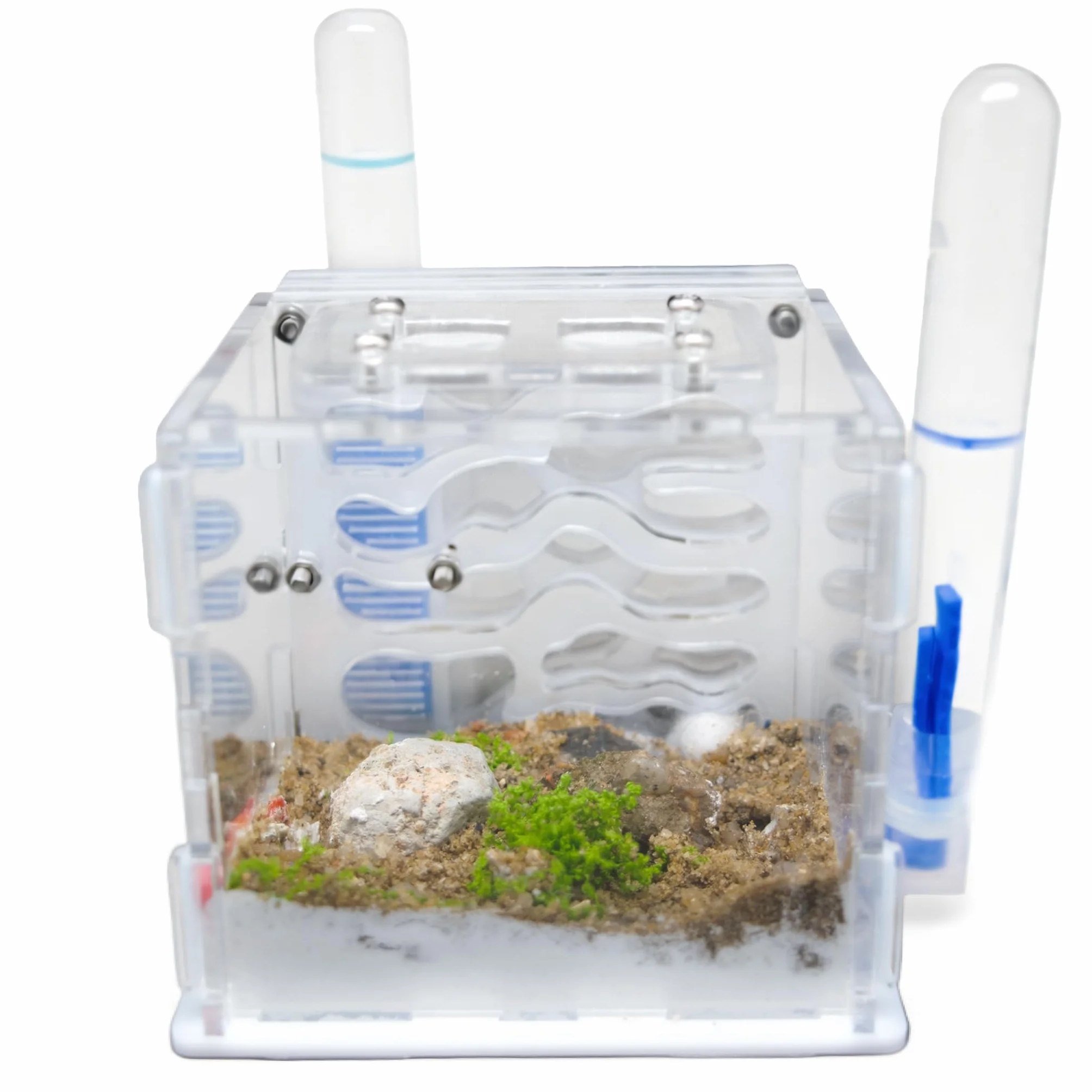 Kit de démarrage fourmilière acrylique système hydratation automatique facile installation nid fourmis peu entretien débutants