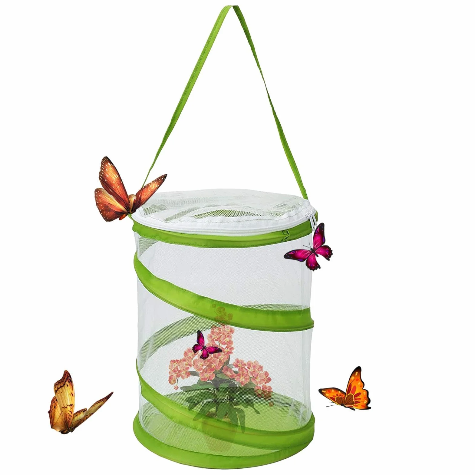 Maisons à Papillons Pop-up Cage d'habitat Filet gravée