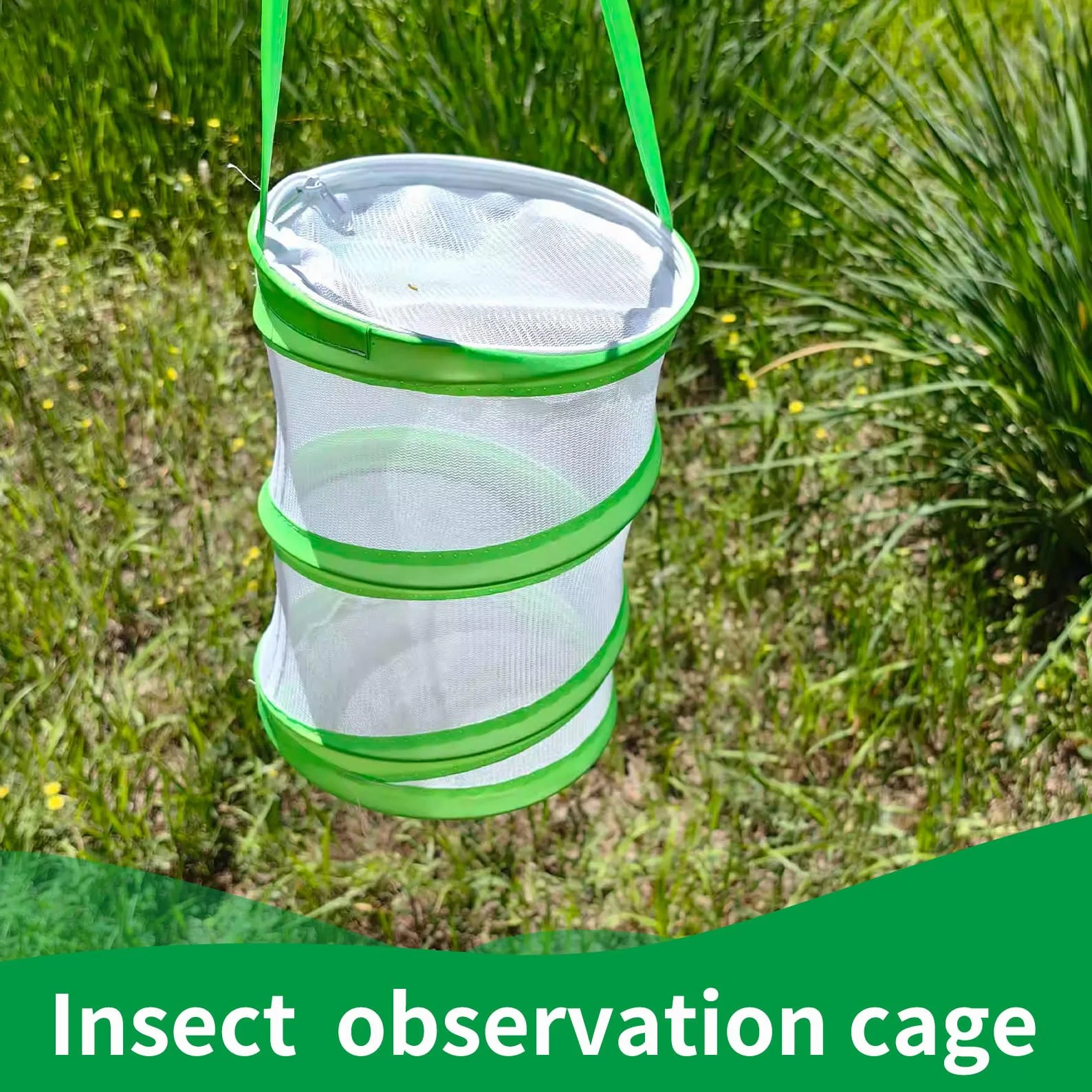 Filet papillon pour enfants, cage pliable pour insectes, habitat jardin éducatif